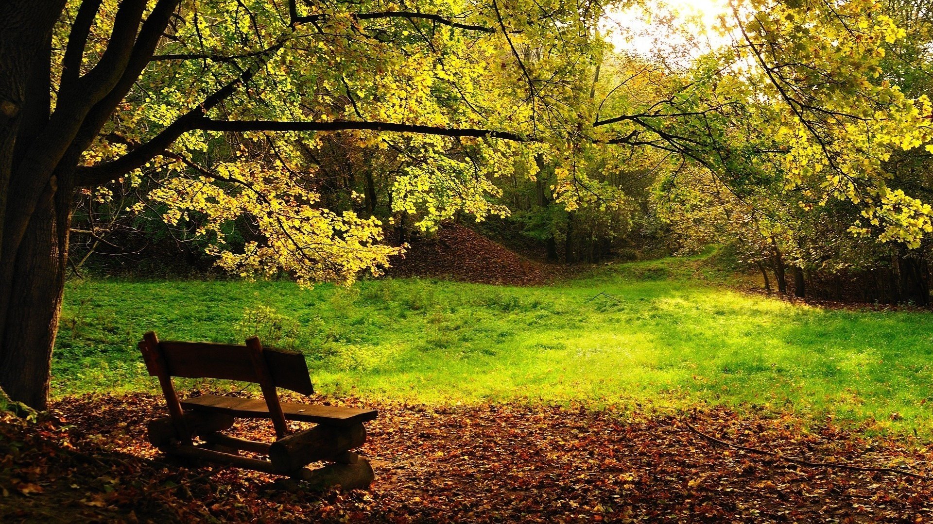 Обои деревья, листва, осень, скамейка, trees, foliage, autumn, bench разрешение 1920x1200 Загрузить