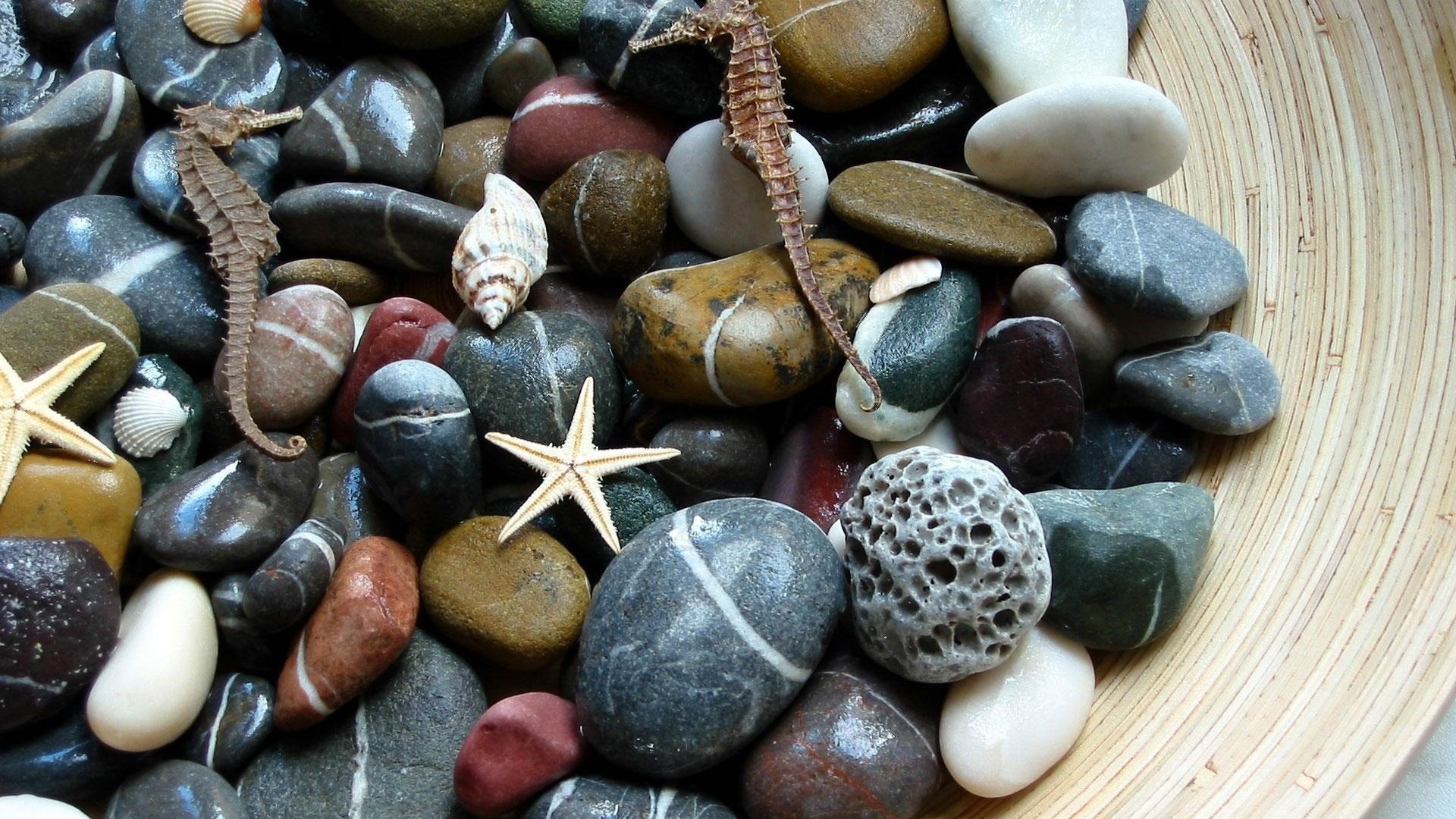 Обои камни, макро, морские, stones, macro, sea разрешение 1920x1200 Загрузить