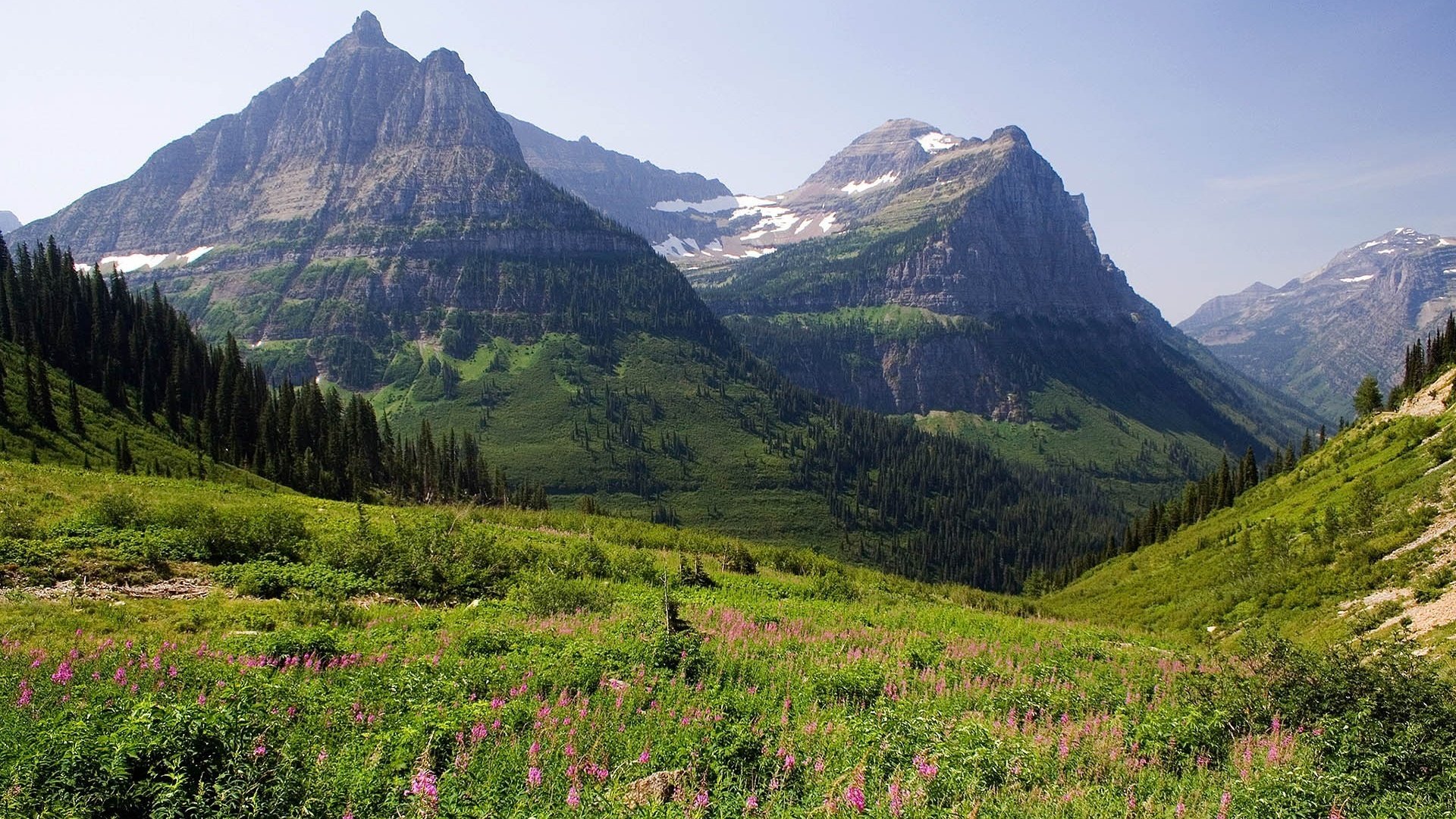 Обои горы, лес, луг, mountains, forest, meadow разрешение 1920x1200 Загрузить