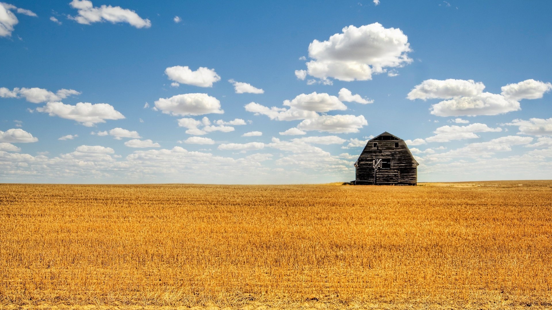 Обои облака, поле, лето, сарай, clouds, field, summer, the barn разрешение 2560x1600 Загрузить