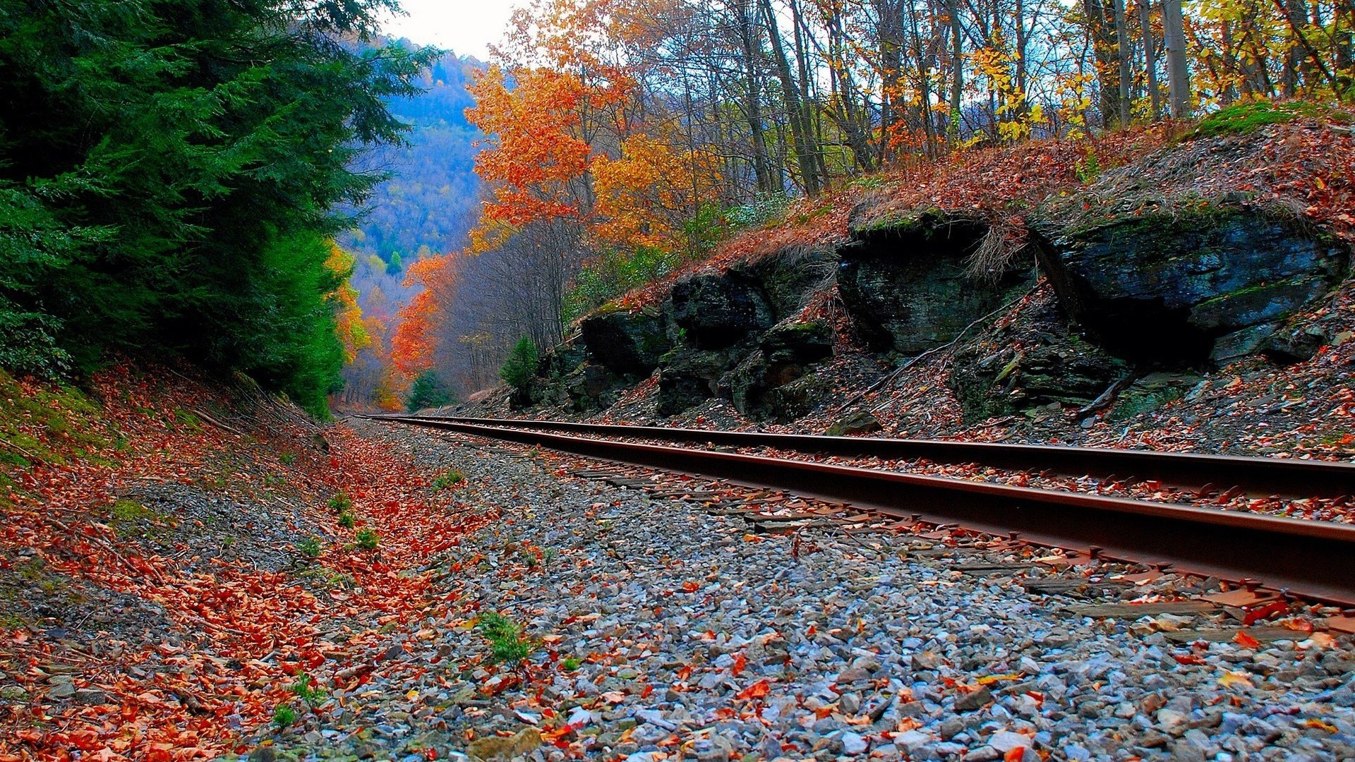 Обои дорога, лес, осень, железная, road, forest, autumn, iron разрешение 1920x1200 Загрузить