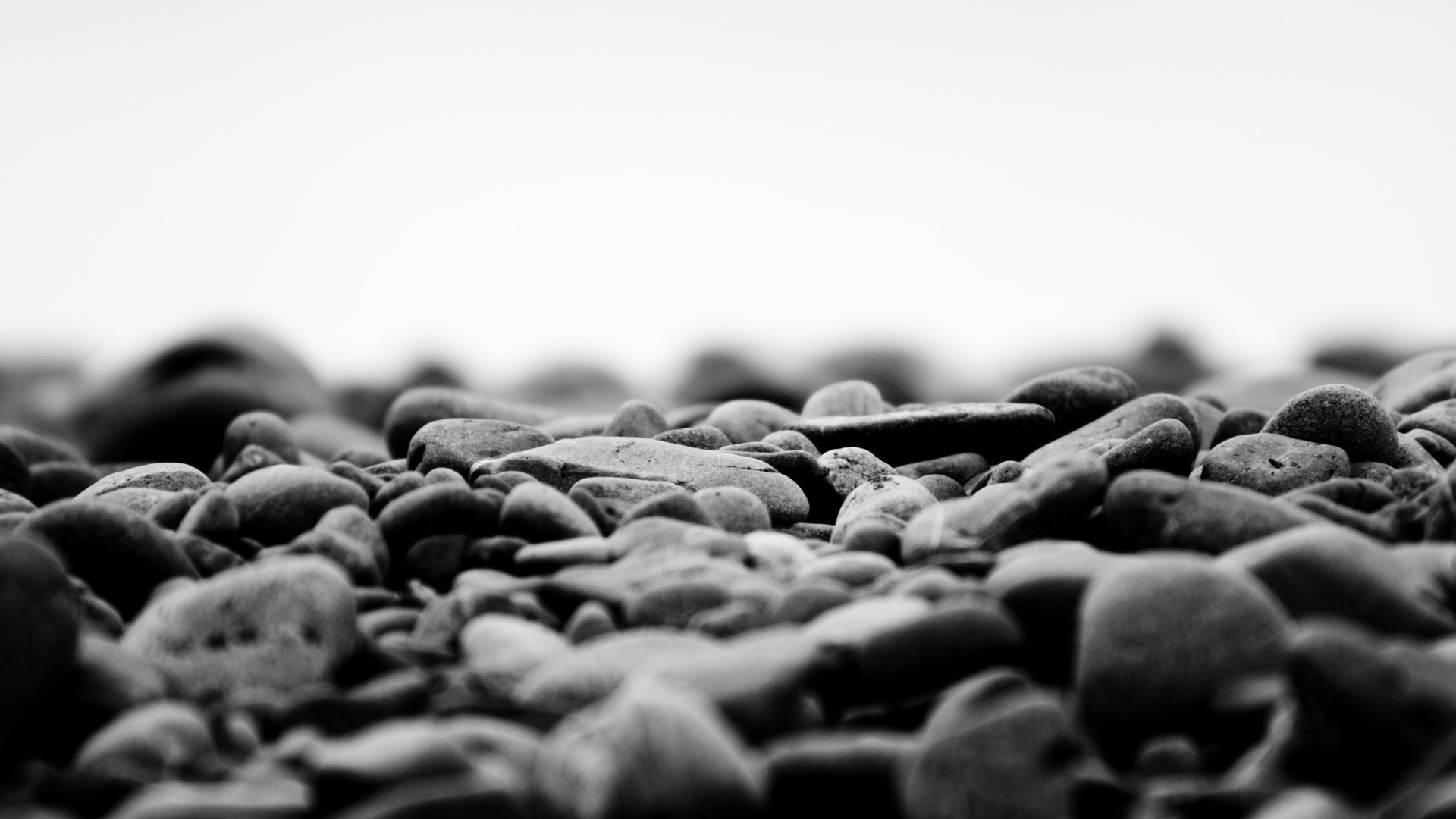 Обои природа, камни, макро фото, чёрно-белое, nature, stones, macro photo, black and white разрешение 2560x1600 Загрузить