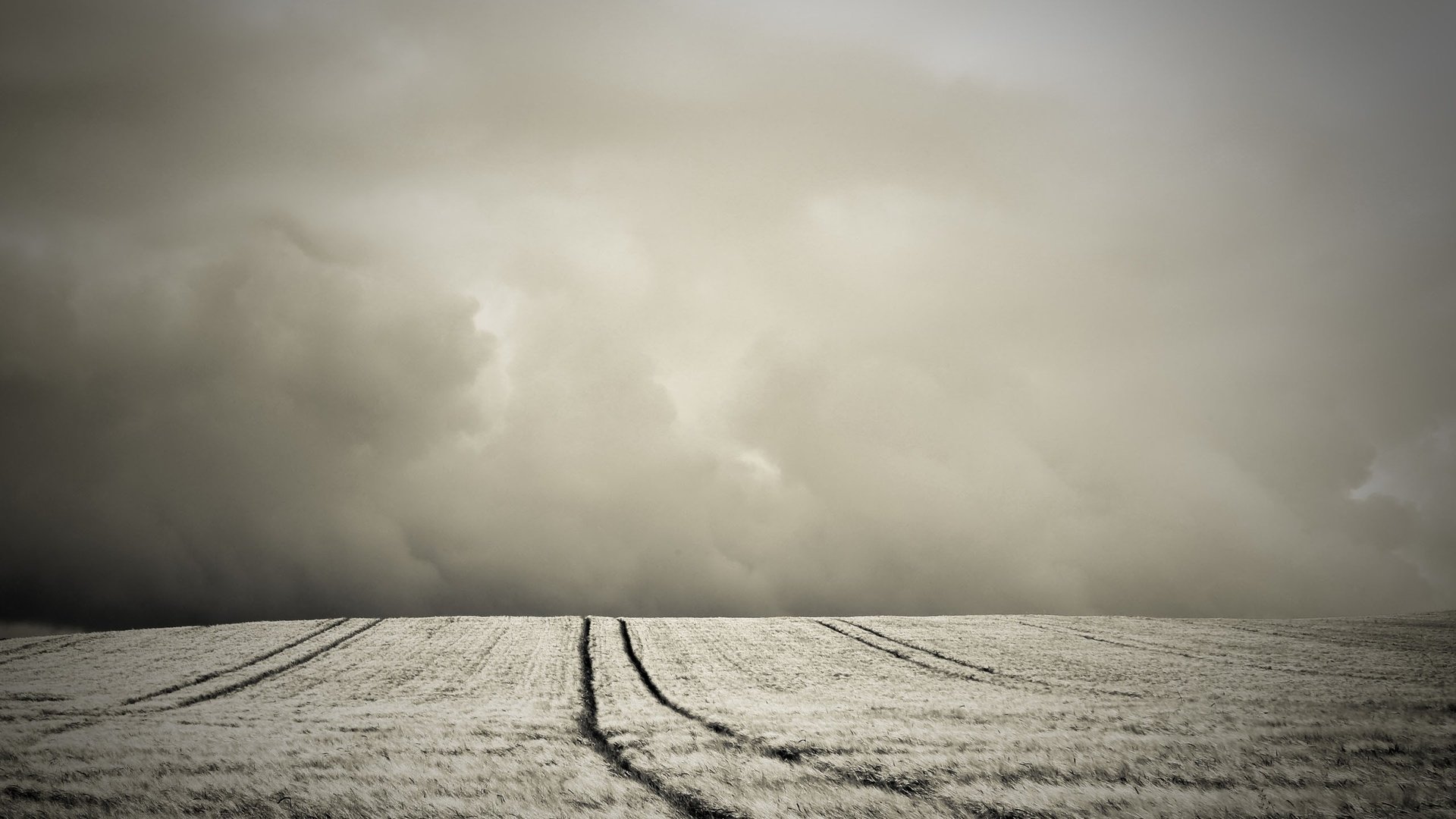 Обои поле, сепия, холм, field, sepia, hill разрешение 2560x1600 Загрузить