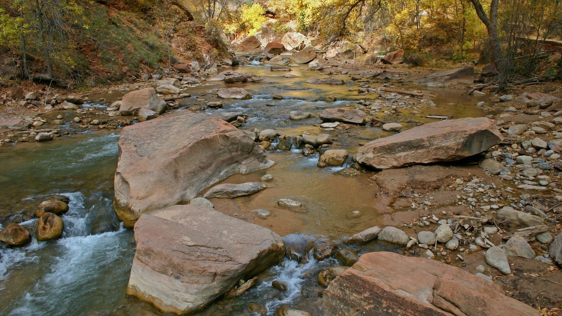 Обои деревья, вода, река, камни, поток, trees, water, river, stones, stream разрешение 1920x1200 Загрузить