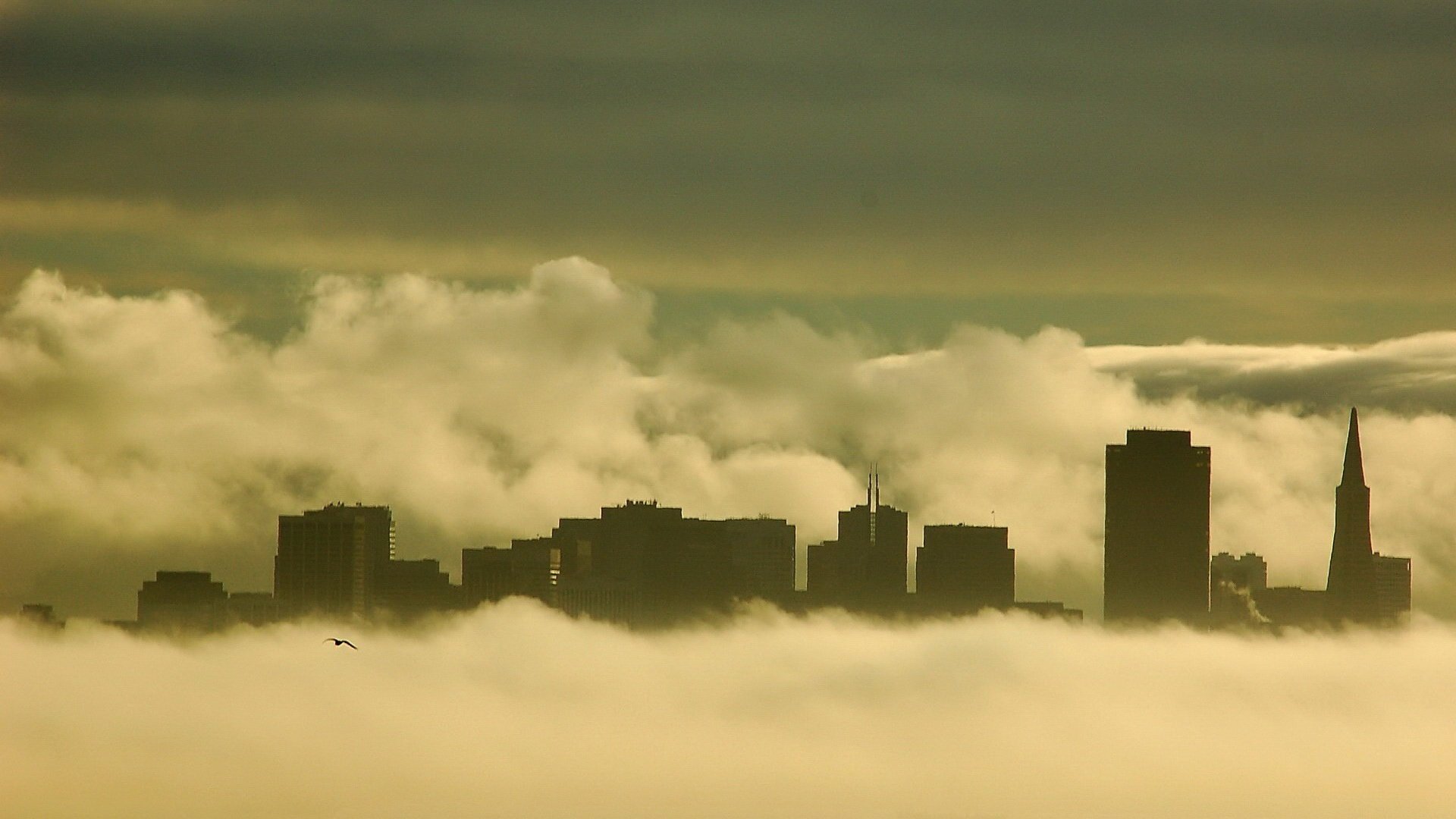 Обои туман, чайка, здания, fog, seagull, building разрешение 1920x1440 Загрузить
