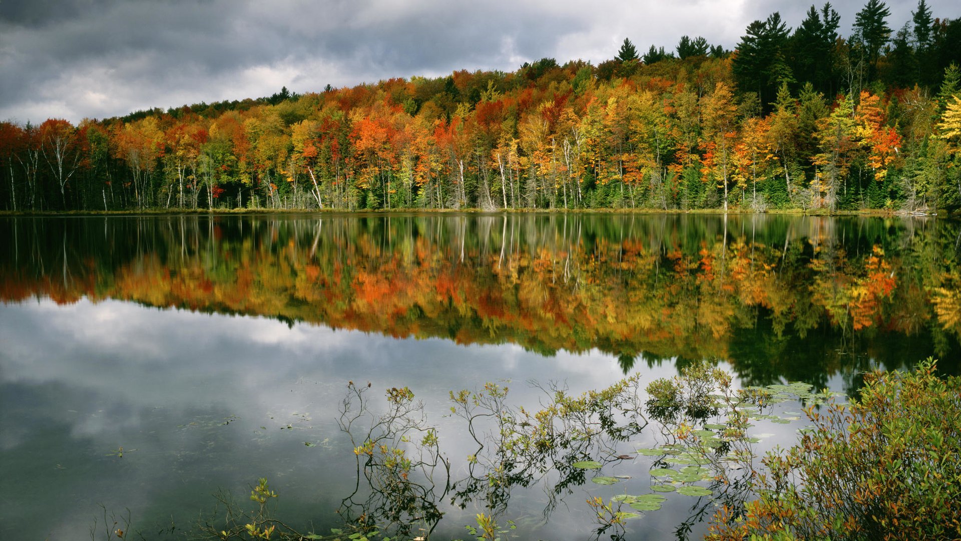 Обои деревья, вода, лес, отражение, осень, trees, water, forest, reflection, autumn разрешение 2000x1333 Загрузить