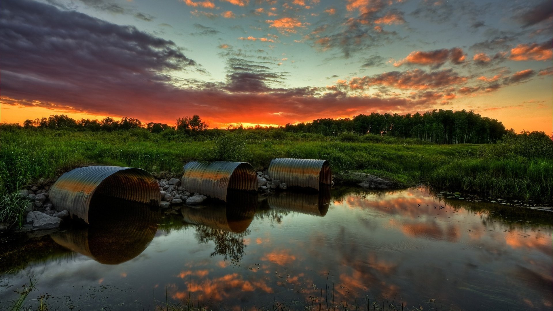 Обои небо, лес, болото, закат, the sky, forest, swamp, sunset разрешение 2560x1600 Загрузить