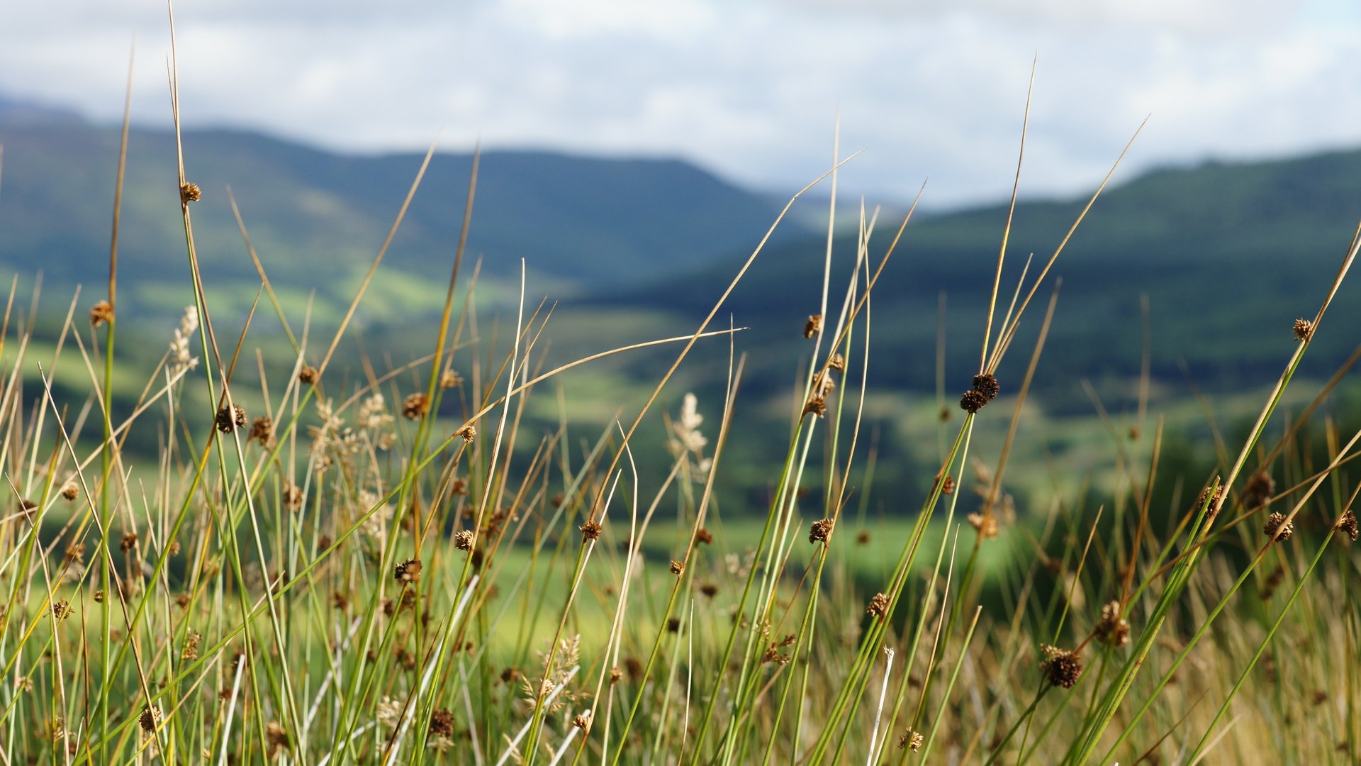 Обои небо, трава, горы, the sky, grass, mountains разрешение 6048x4032 Загрузить