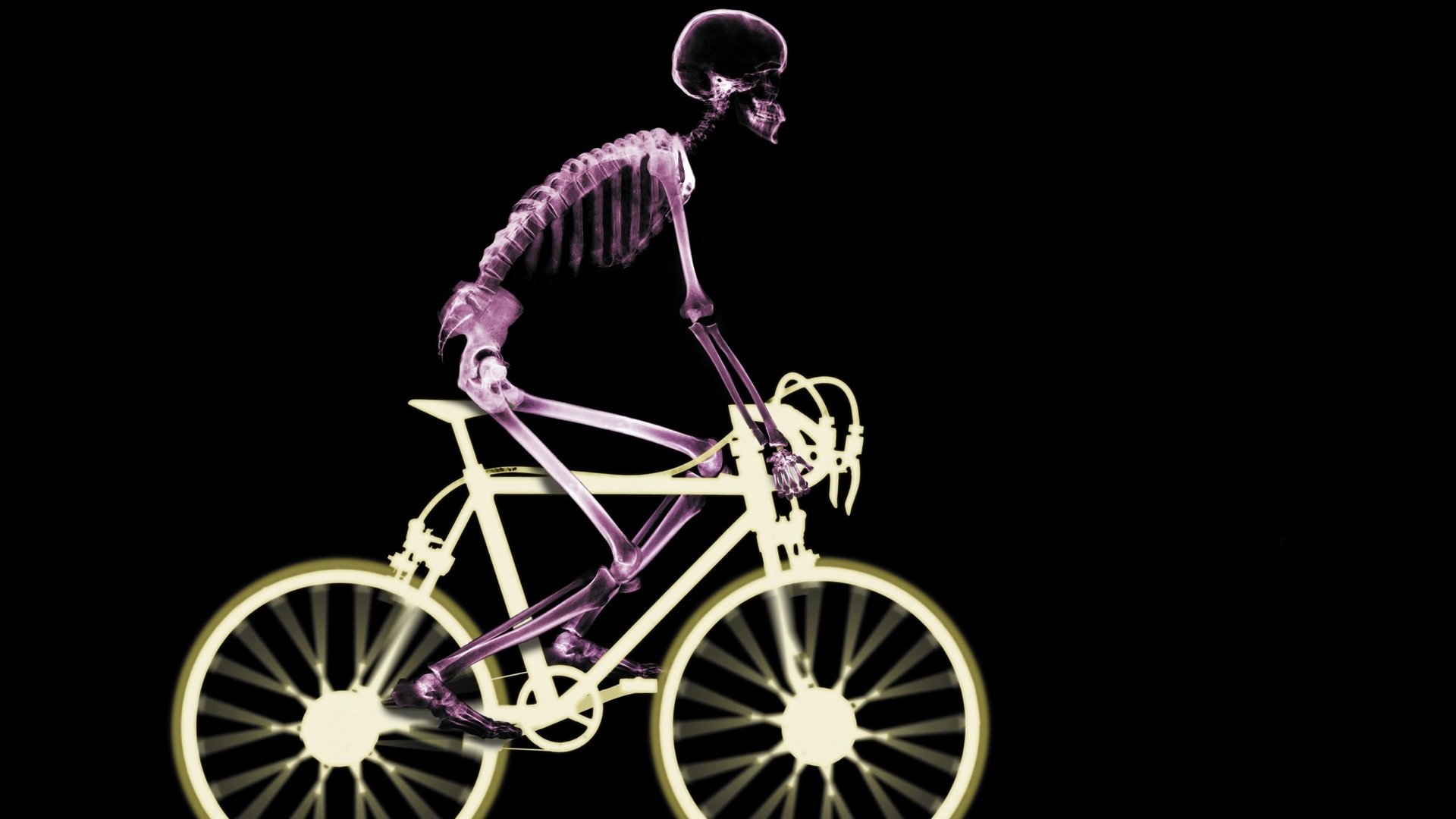 Обои рентген, скелет, велосипед, x-ray, skeleton, bike разрешение 3000x2250 Загрузить