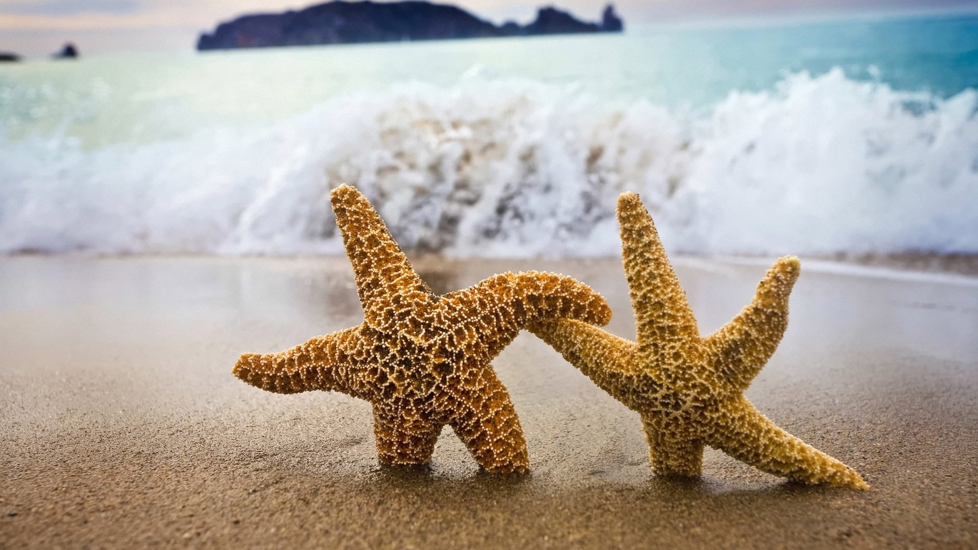 Обои берег, звезды, песок, shore, stars, sand разрешение 1920x1200 Загрузить