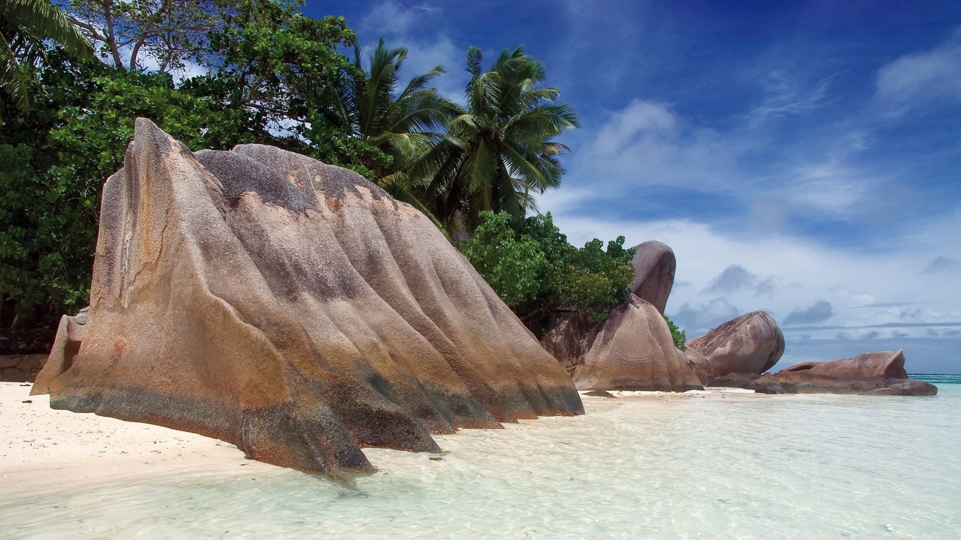 Обои камни, берег, пляж, пальмы, тропики, сейшелы, stones, shore, beach, palm trees, tropics, seychelles разрешение 1920x1200 Загрузить