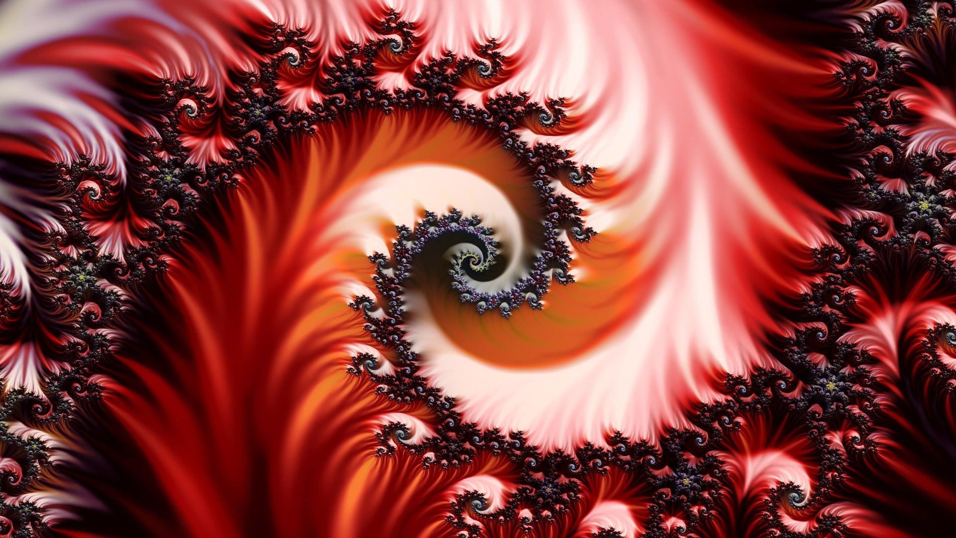 Обои узор, красный, фрактал, pattern, red, fractal разрешение 2560x1440 Загрузить
