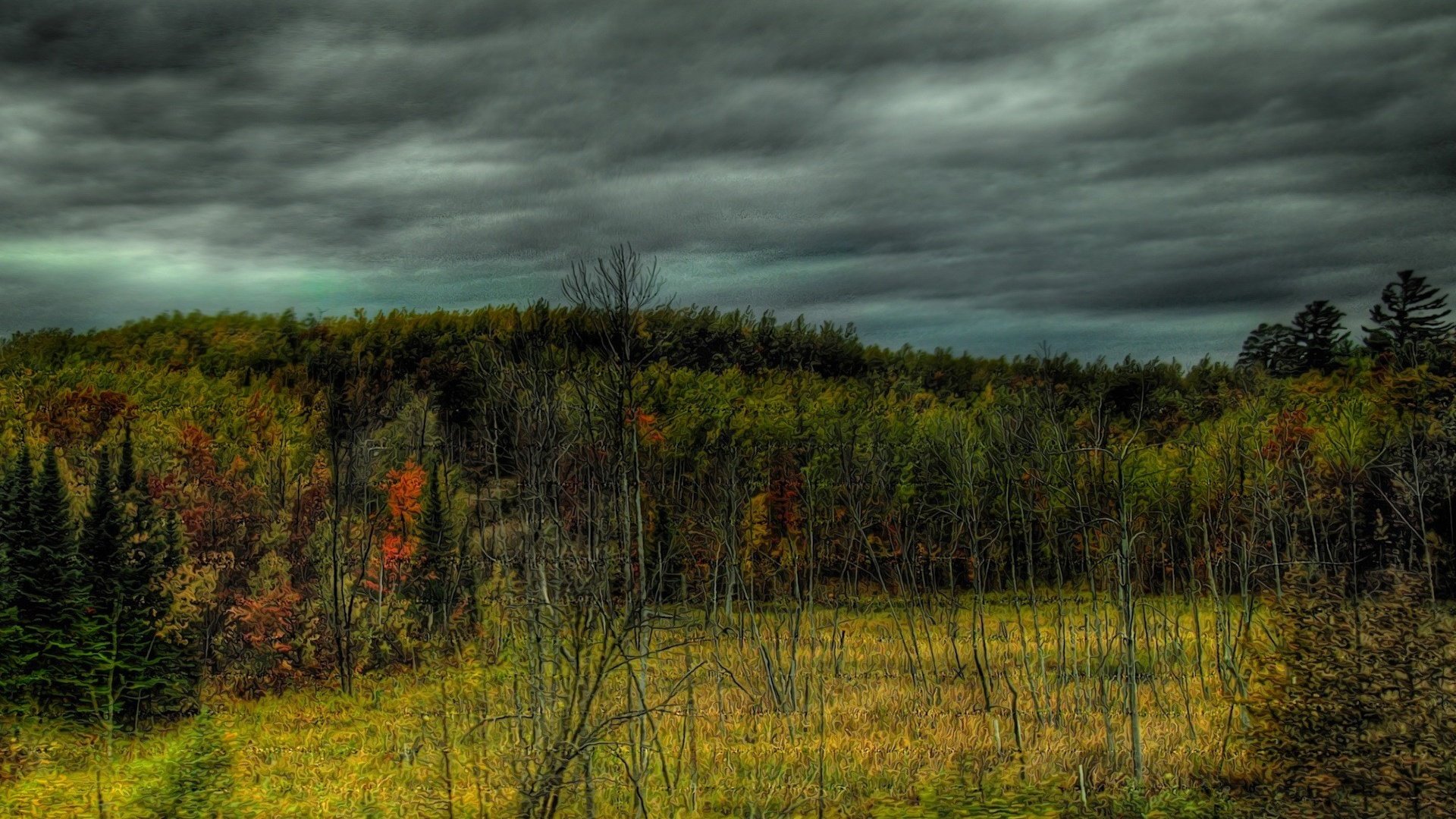 Обои деревья, мрак, лес, trees, the darkness, forest разрешение 1920x1200 Загрузить