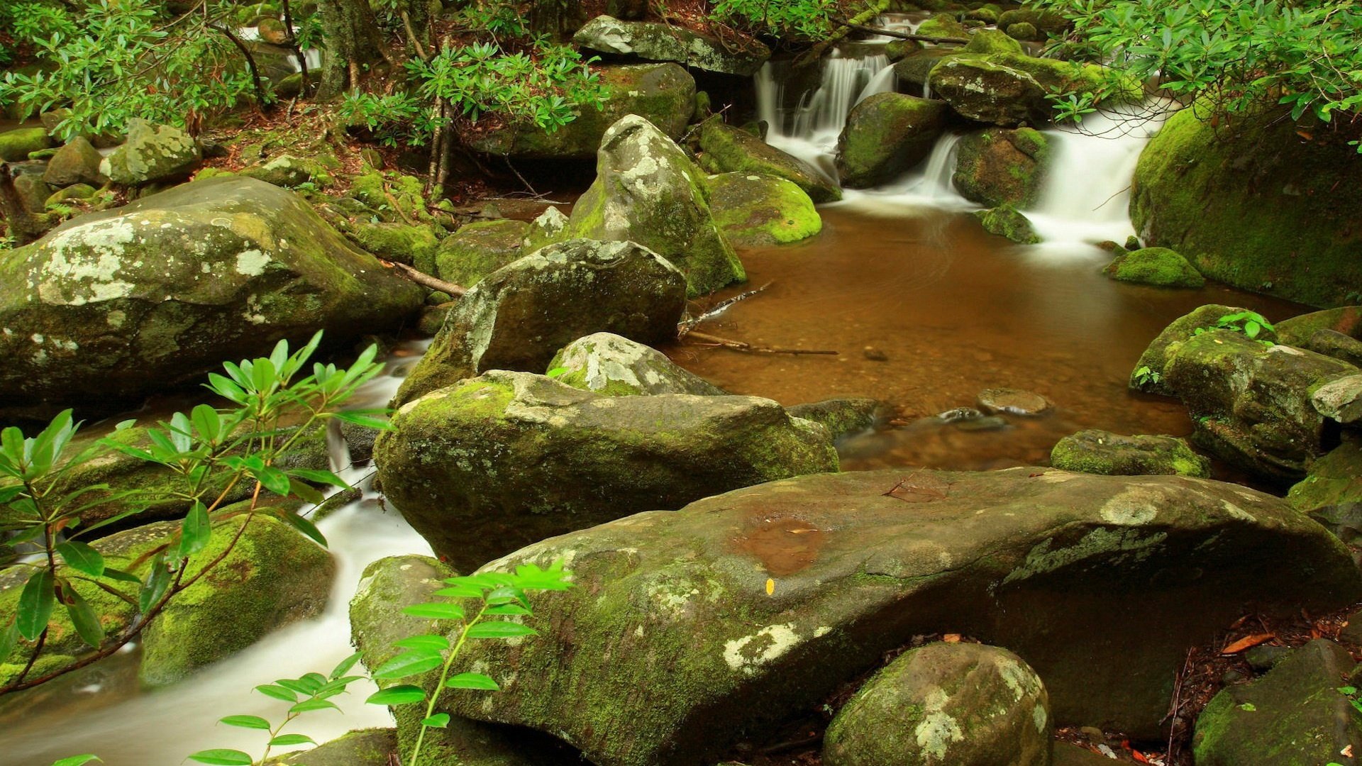 Обои камни, листья, ручей, водопад, stones, leaves, stream, waterfall разрешение 1920x1200 Загрузить