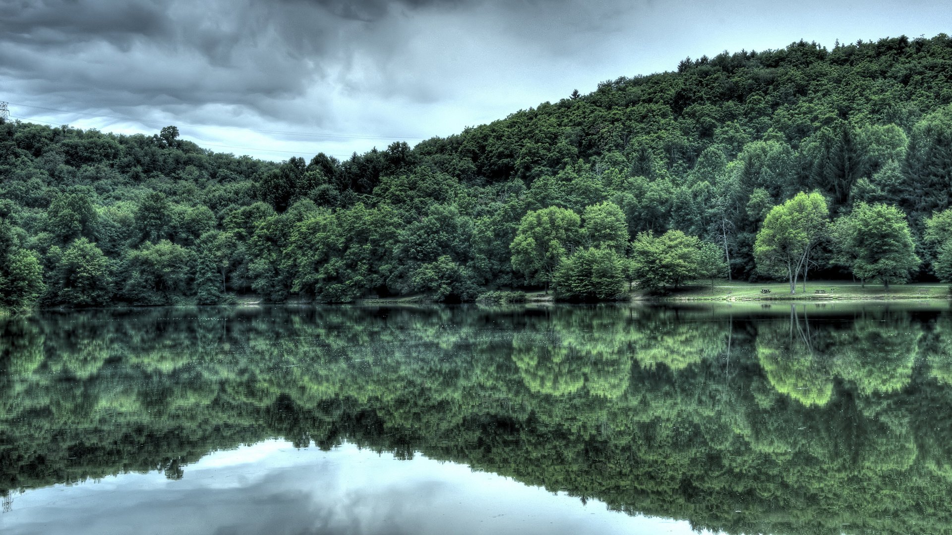 Обои вода, лес, отражение, water, forest, reflection разрешение 2560x1600 Загрузить