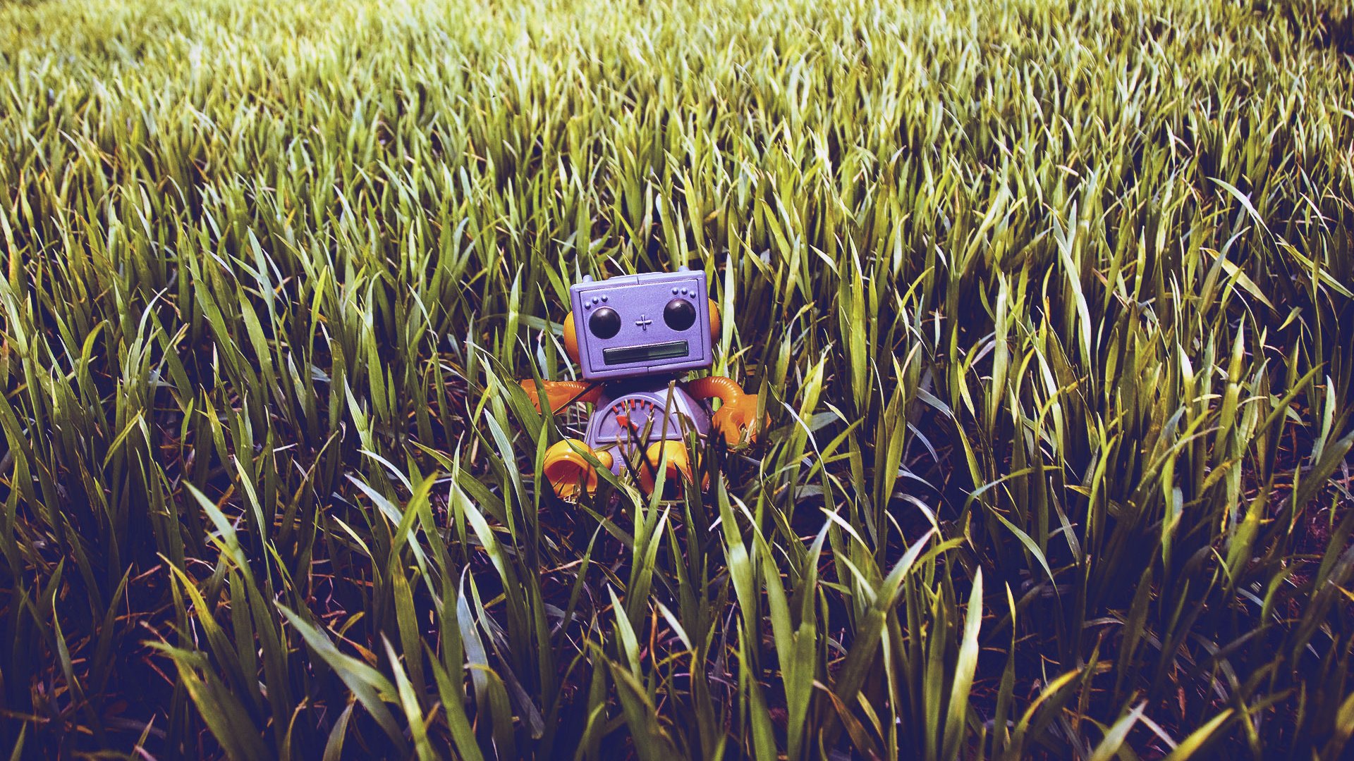 Обои трава, робот, игрушечный, газон, grass, robot, toy, lawn разрешение 1920x1200 Загрузить