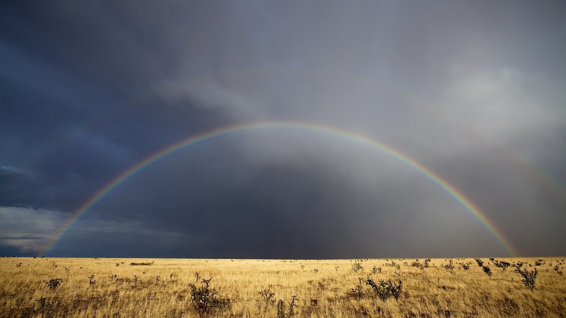 Обои небо, трава, облака, радуга, нью-мексико, the sky, grass, clouds, rainbow, new mexico разрешение 2560x1600 Загрузить