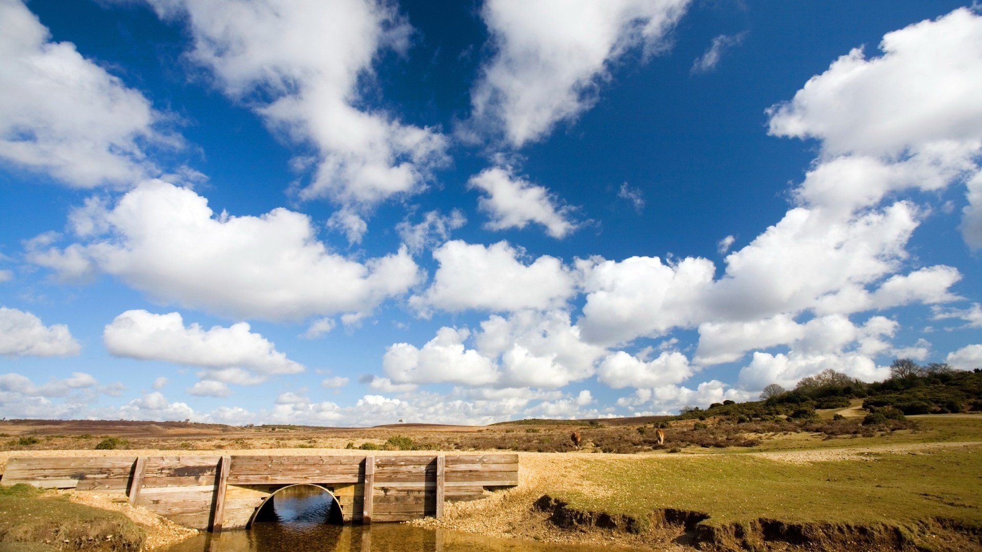 Обои небо, облака, вода, река, мост, степь, the sky, clouds, water, river, bridge, the steppe разрешение 2560x1600 Загрузить