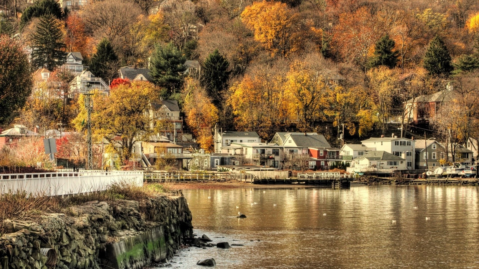 Обои вода, осень, поселок, water, autumn, the village разрешение 2560x1600 Загрузить