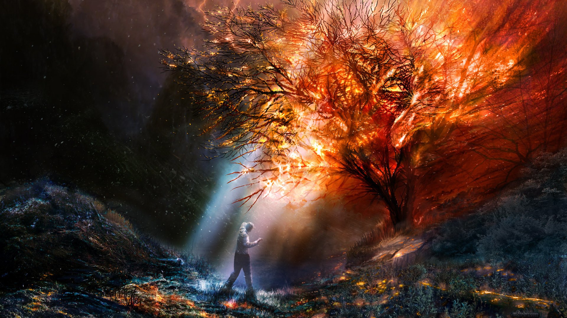 Обои цвета, фантастика, огонь, color, fiction, fire разрешение 2560x1600 Загрузить