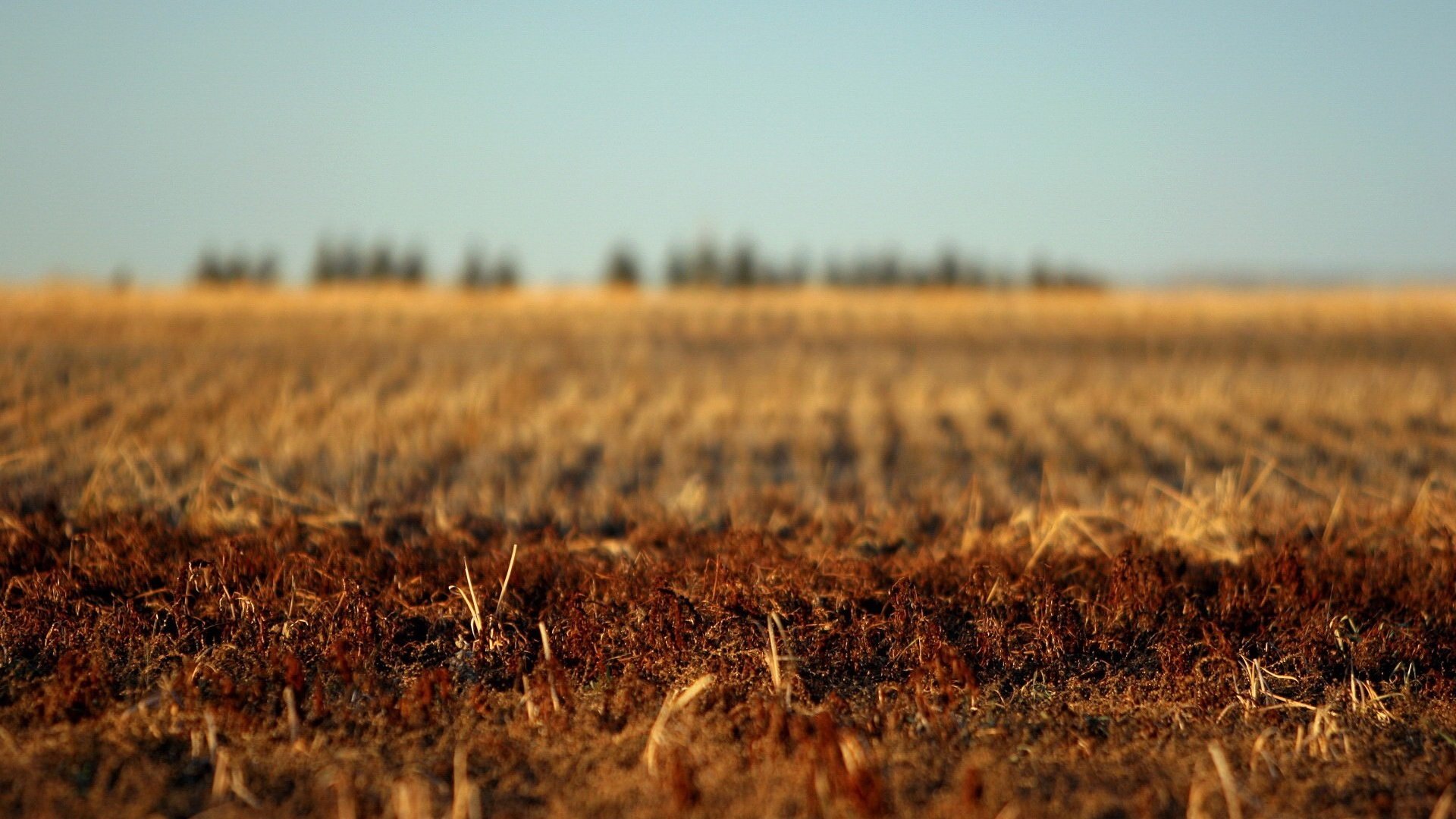 Обои земля, поле, осень, earth, field, autumn разрешение 1920x1440 Загрузить