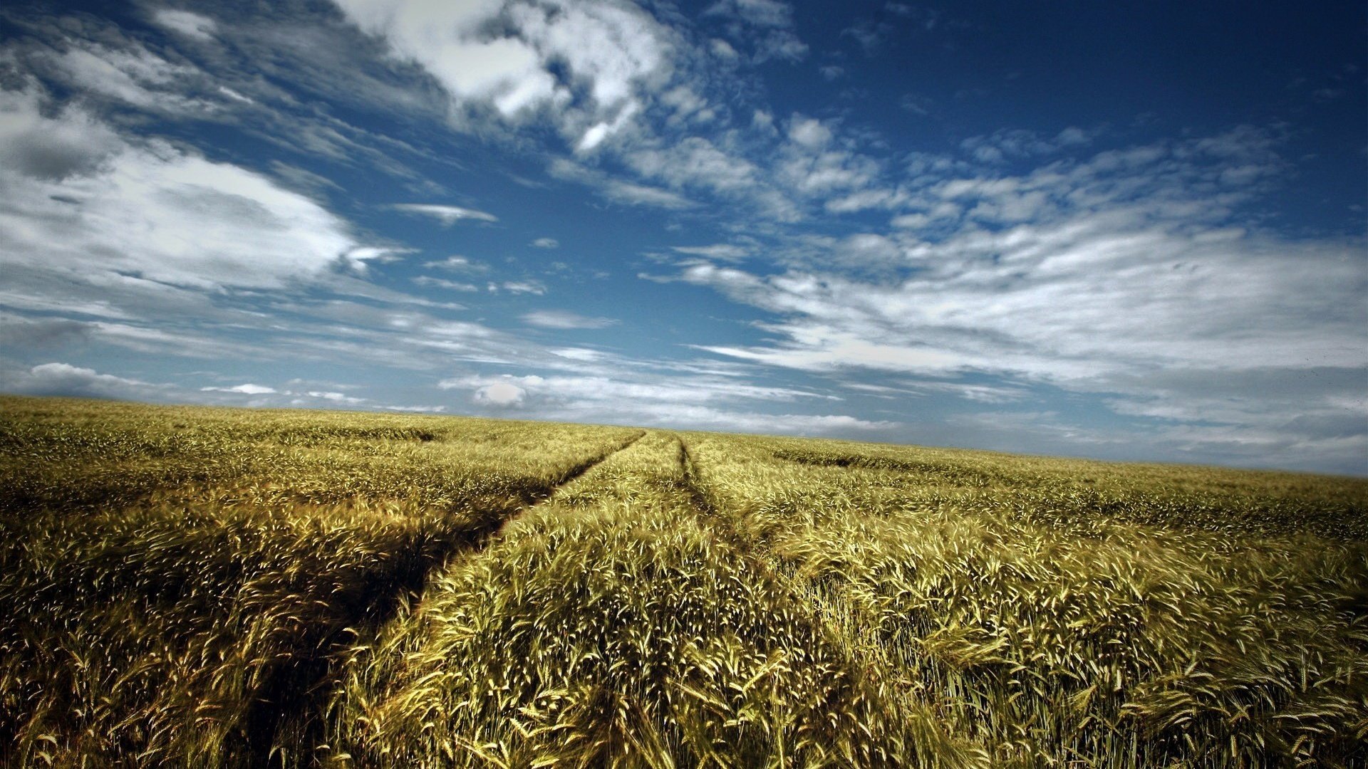 Обои небо, дорога, поле, лето, the sky, road, field, summer разрешение 1920x1200 Загрузить