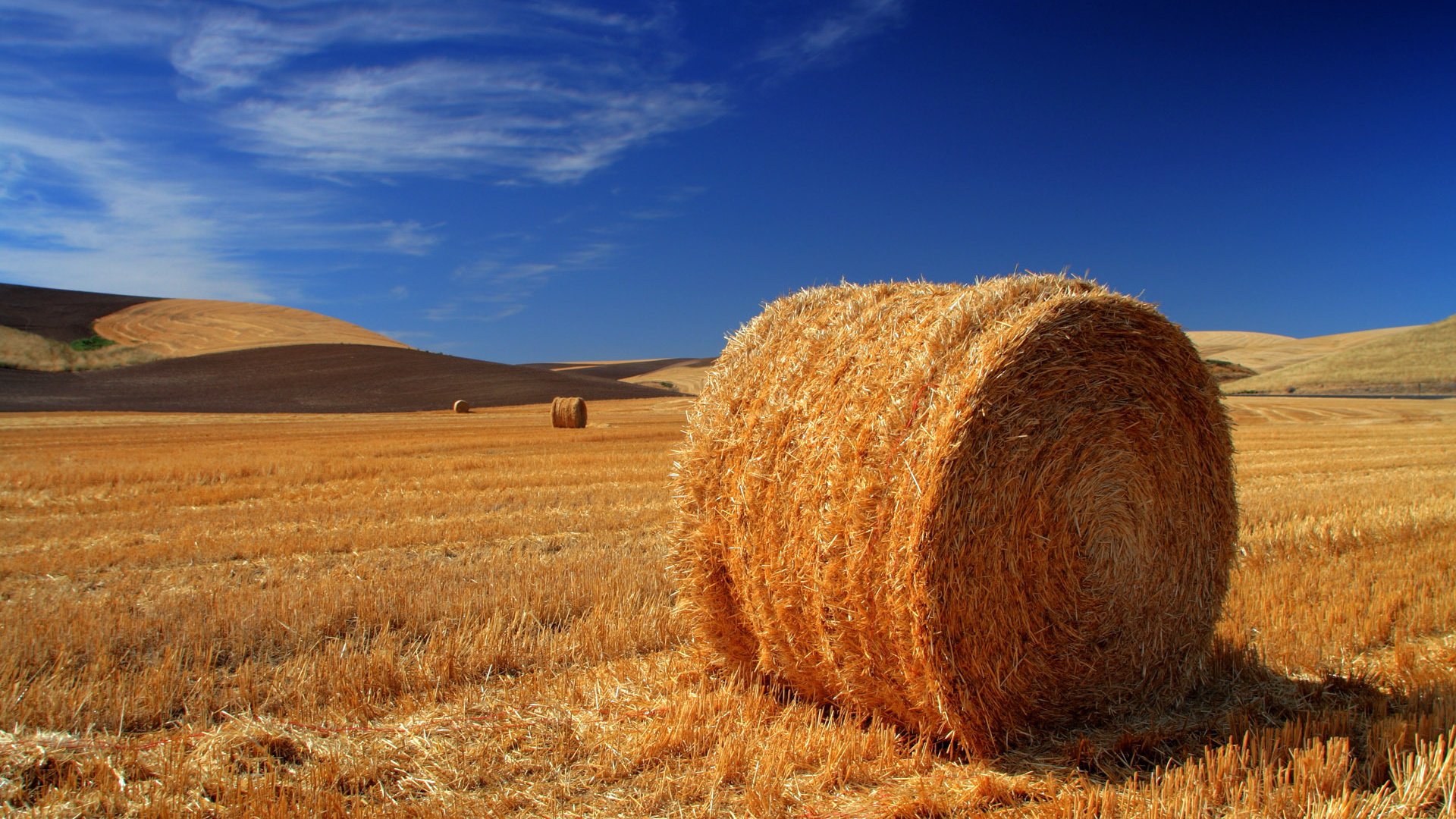 Обои небо, поле, горизонт, сено, тюки, стог, рулоны, the sky, field, horizon, hay, bales, stack, rolls разрешение 1920x1200 Загрузить