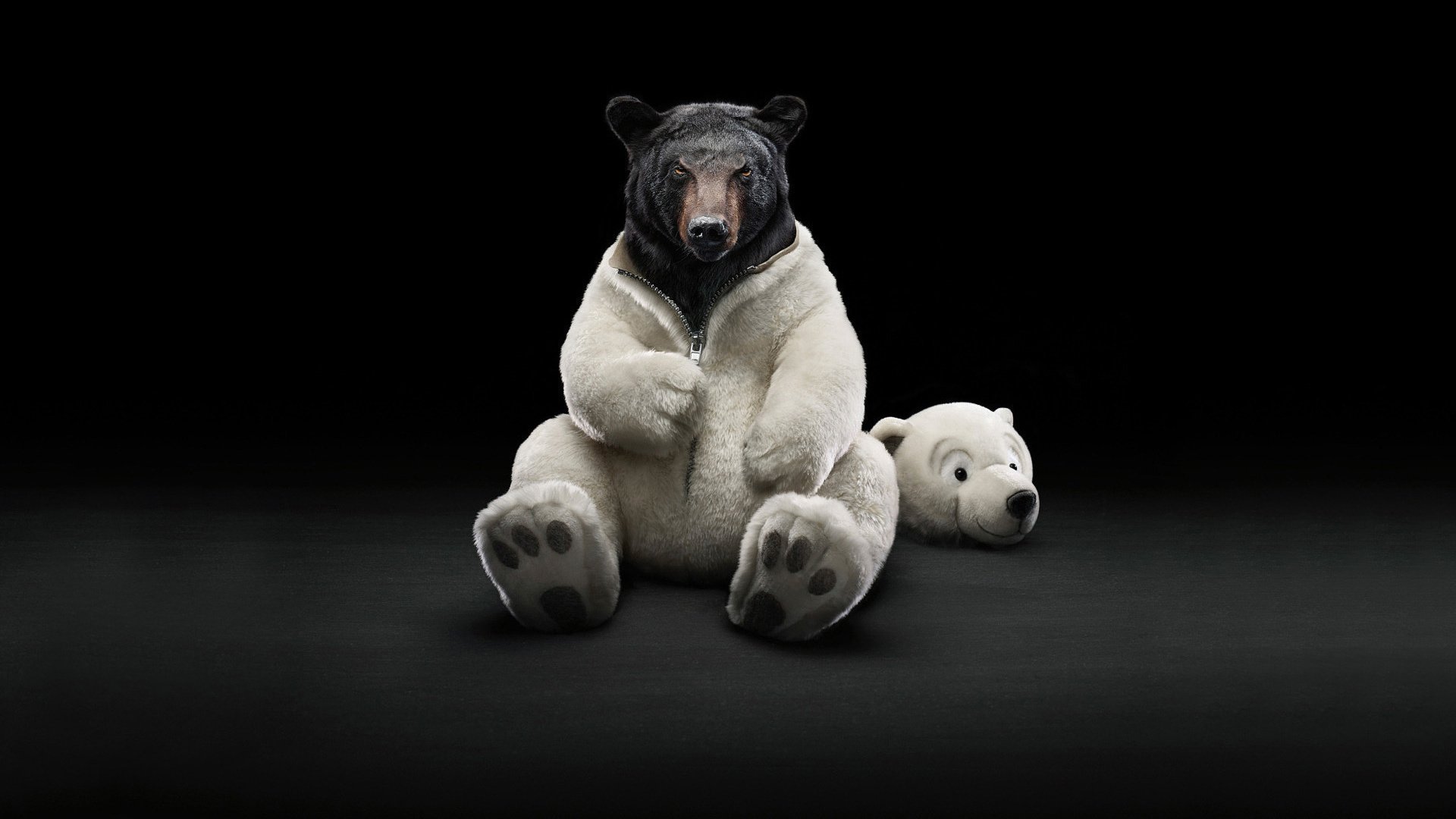 Обои медведь, костюм, шуба, bear, costume, coat разрешение 1920x1200 Загрузить