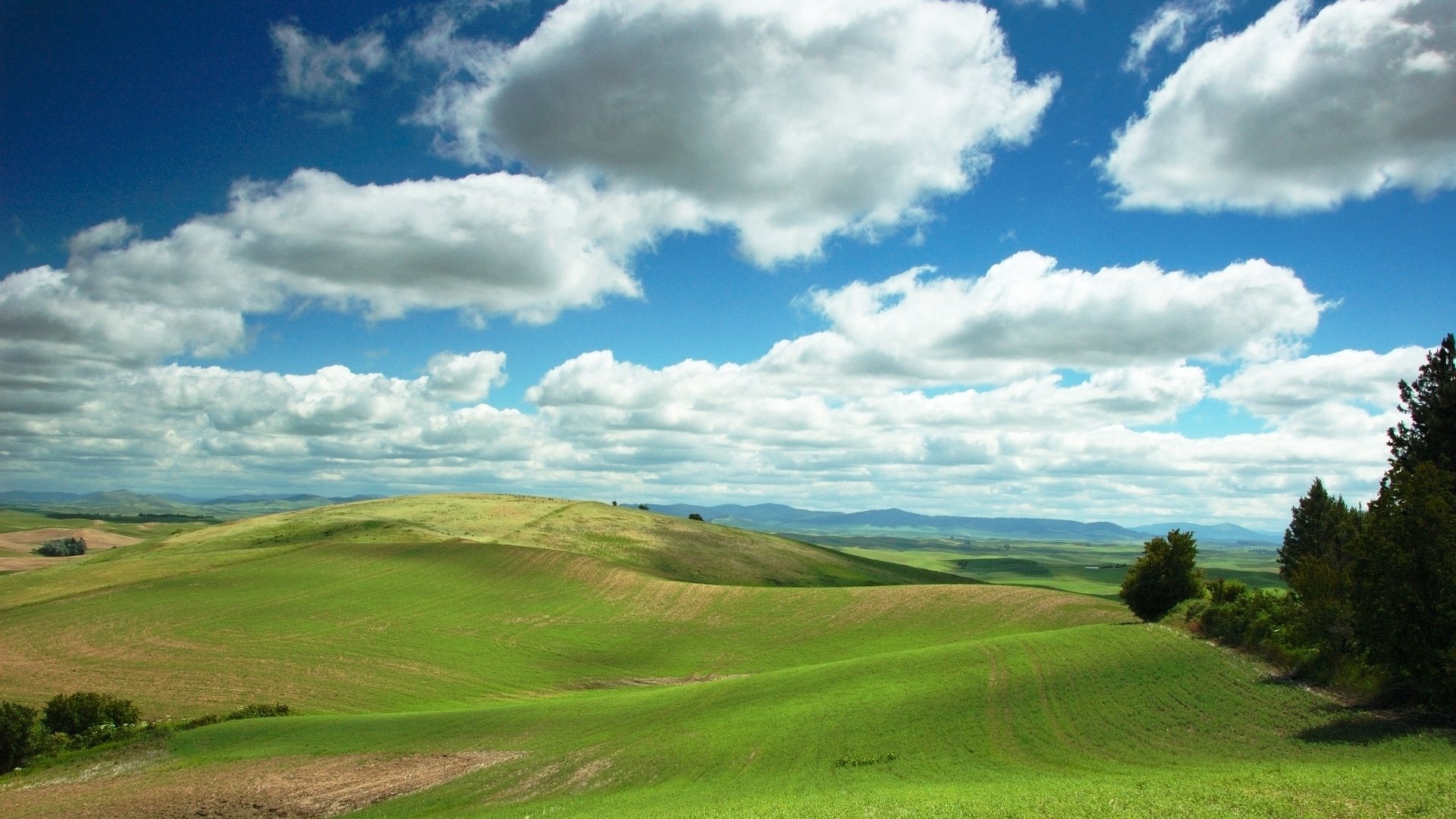 Обои небо, облака, холмы, поле, the sky, clouds, hills, field разрешение 1920x1200 Загрузить