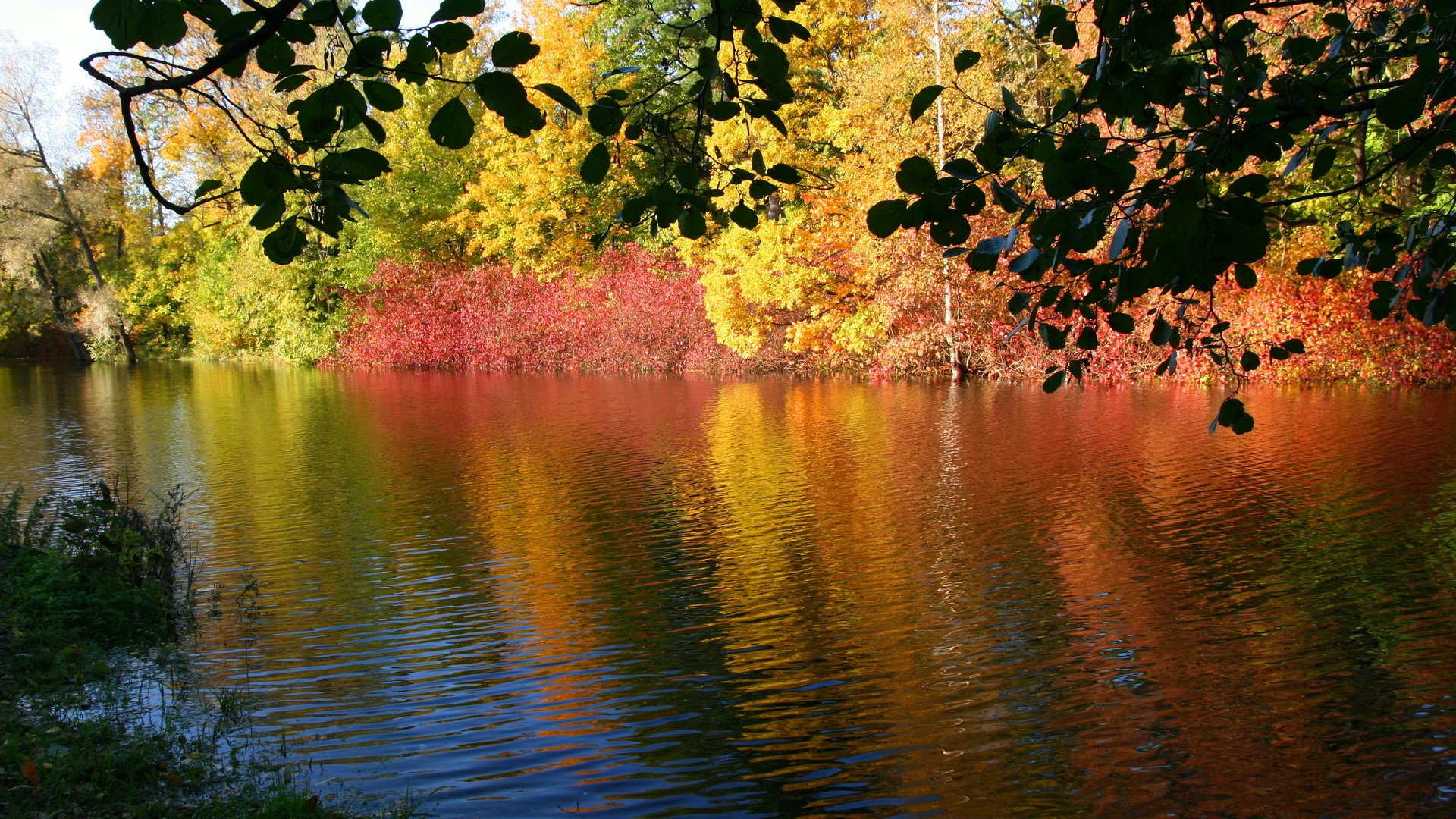 Обои река, природа, осень, river, nature, autumn разрешение 3671x2468 Загрузить