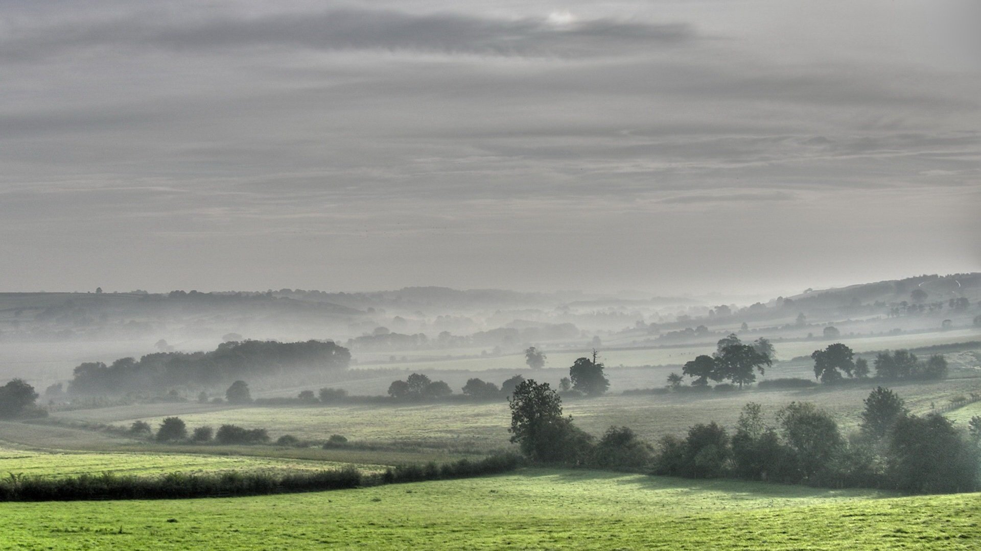 Обои деревья, поля, туман, trees, field, fog разрешение 1920x1440 Загрузить