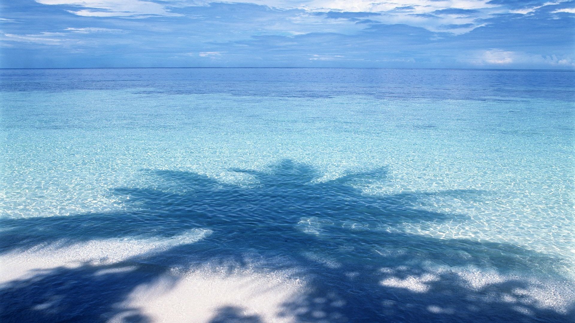 Обои вода, песок, пляж, горизонт, побережье, тень, океан, пальма, water, sand, beach, horizon, coast, shadow, the ocean, palma разрешение 1920x1200 Загрузить