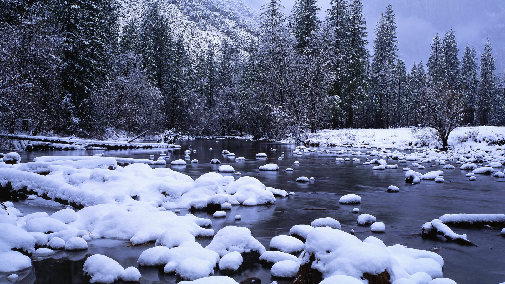 Обои снег, лес, ручей, snow, forest, stream разрешение 3750x1200 Загрузить