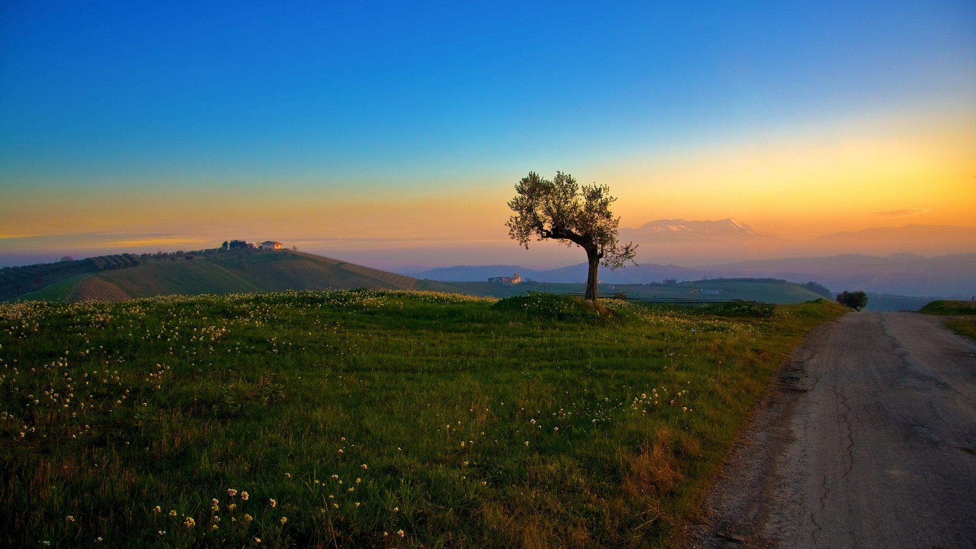 Обои дорога, трава, холмы, дерево, утро, road, grass, hills, tree, morning разрешение 2560x1600 Загрузить