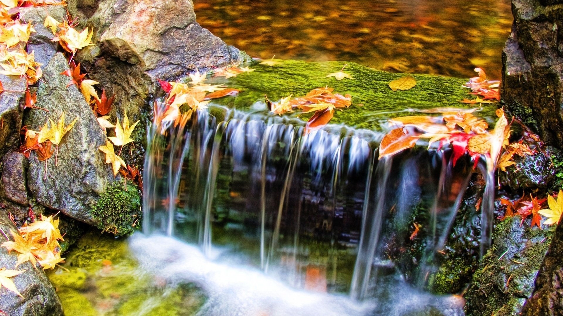 Обои вода, природа, листья, water, nature, leaves разрешение 1920x1200 Загрузить