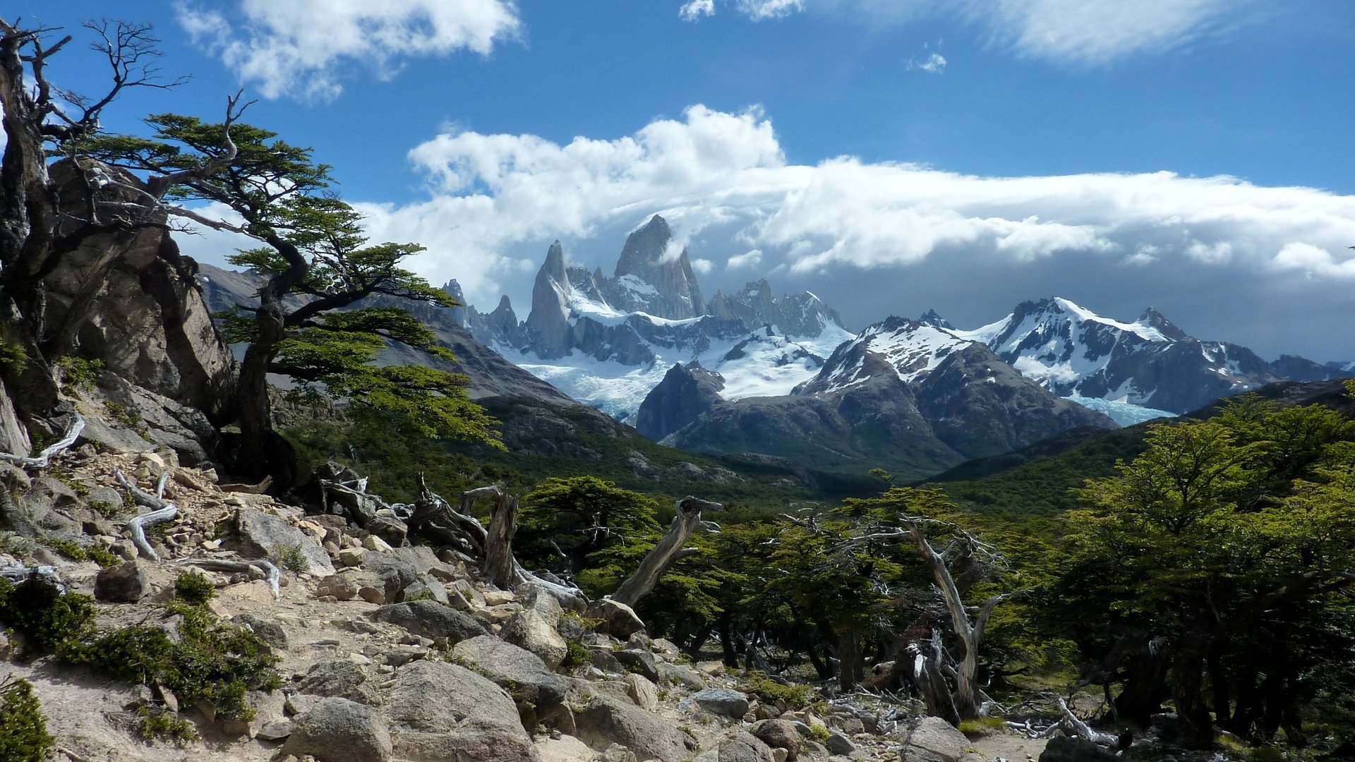 Обои деревья, горы, скалы, камни, trees, mountains, rocks, stones разрешение 2560x1600 Загрузить