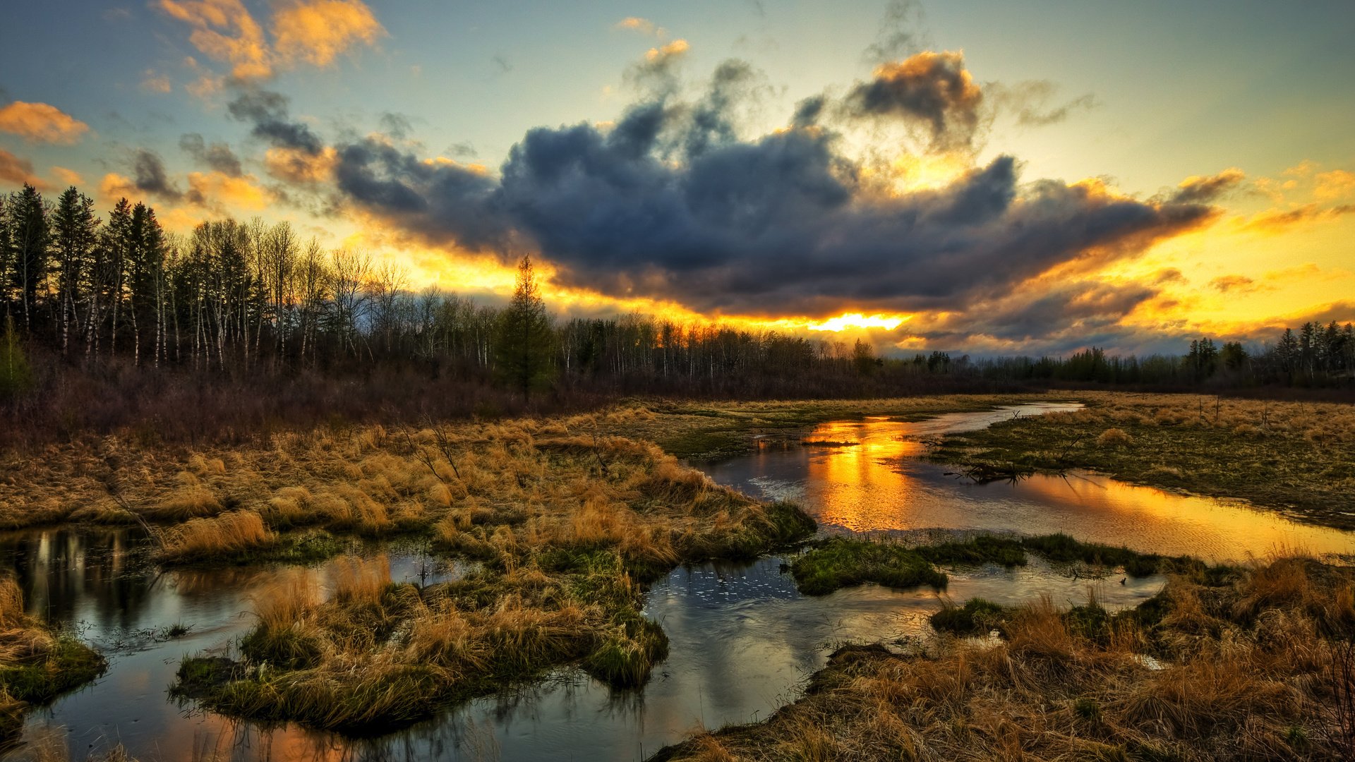 Обои трава, природа, болото, закат, тучи, grass, nature, swamp, sunset, clouds разрешение 2560x1600 Загрузить