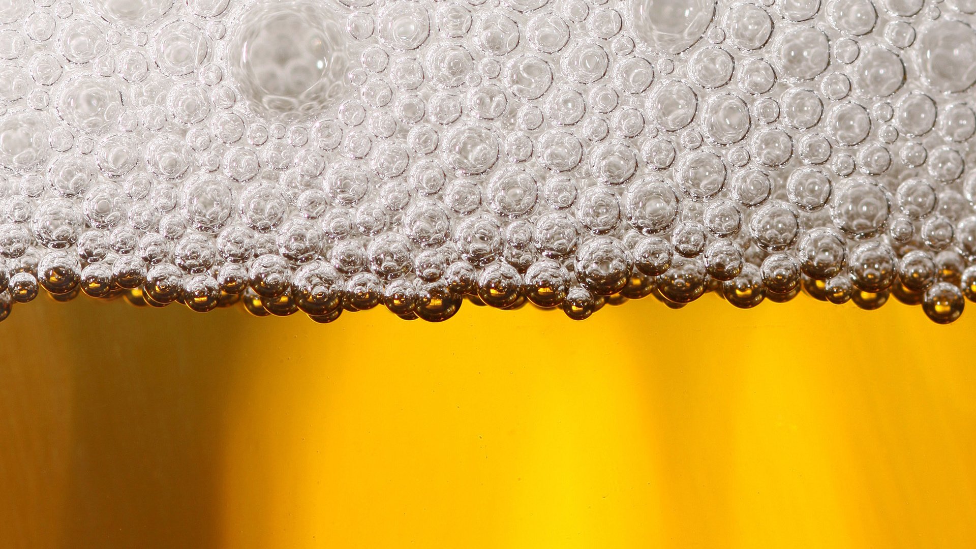 Обои макро, пиво, пена, macro, beer, foam разрешение 1920x1440 Загрузить