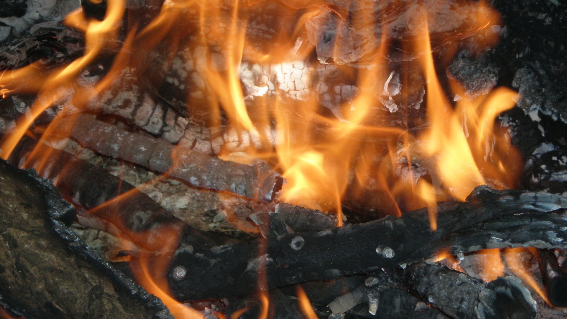 Обои пламя, огонь, костёр, поленья, flame, fire, the fire, logs разрешение 2560x1600 Загрузить