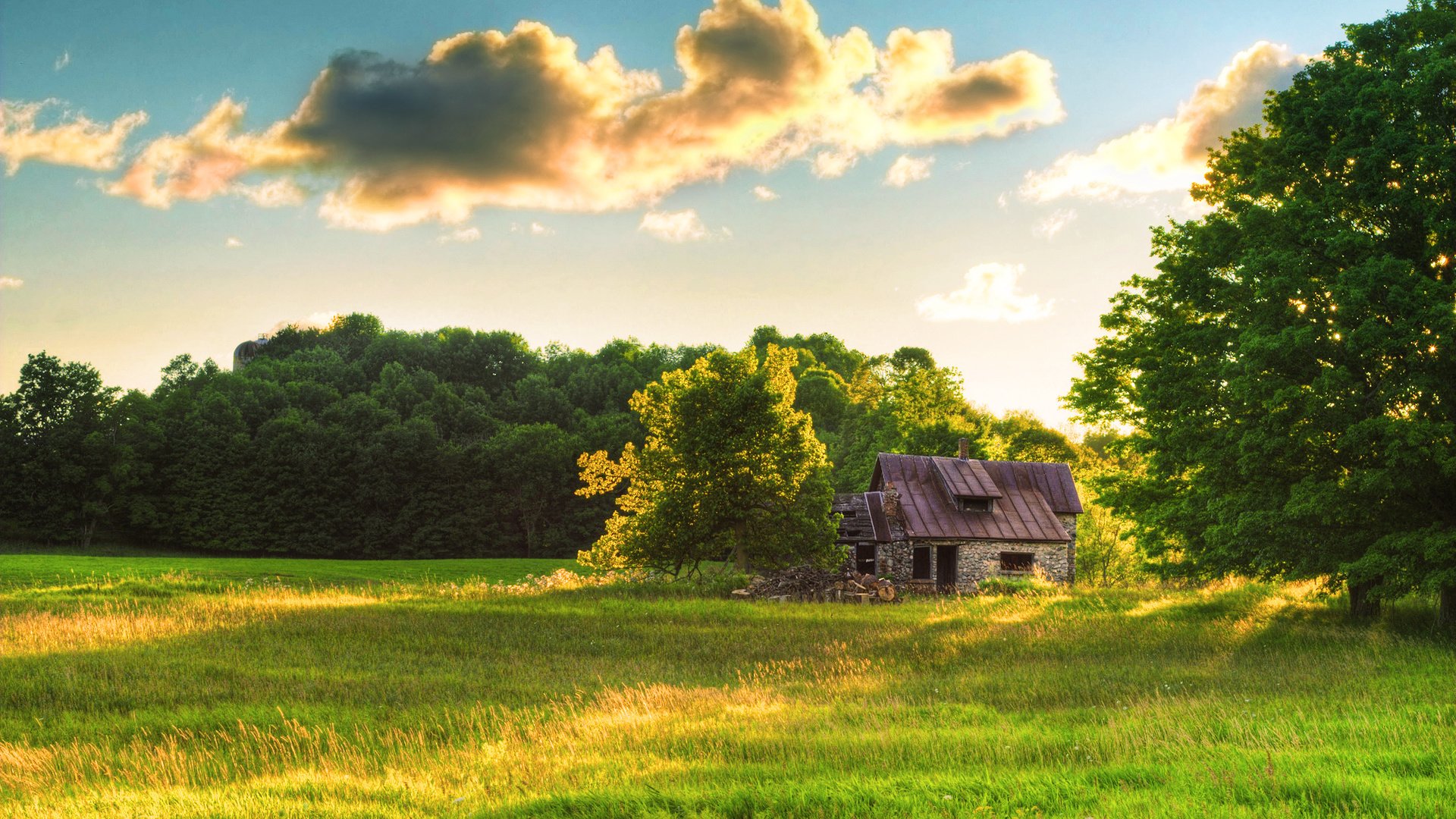 Обои небо, трава, облака, лес, лето, поляна, домик, the sky, grass, clouds, forest, summer, glade, house разрешение 2560x1600 Загрузить