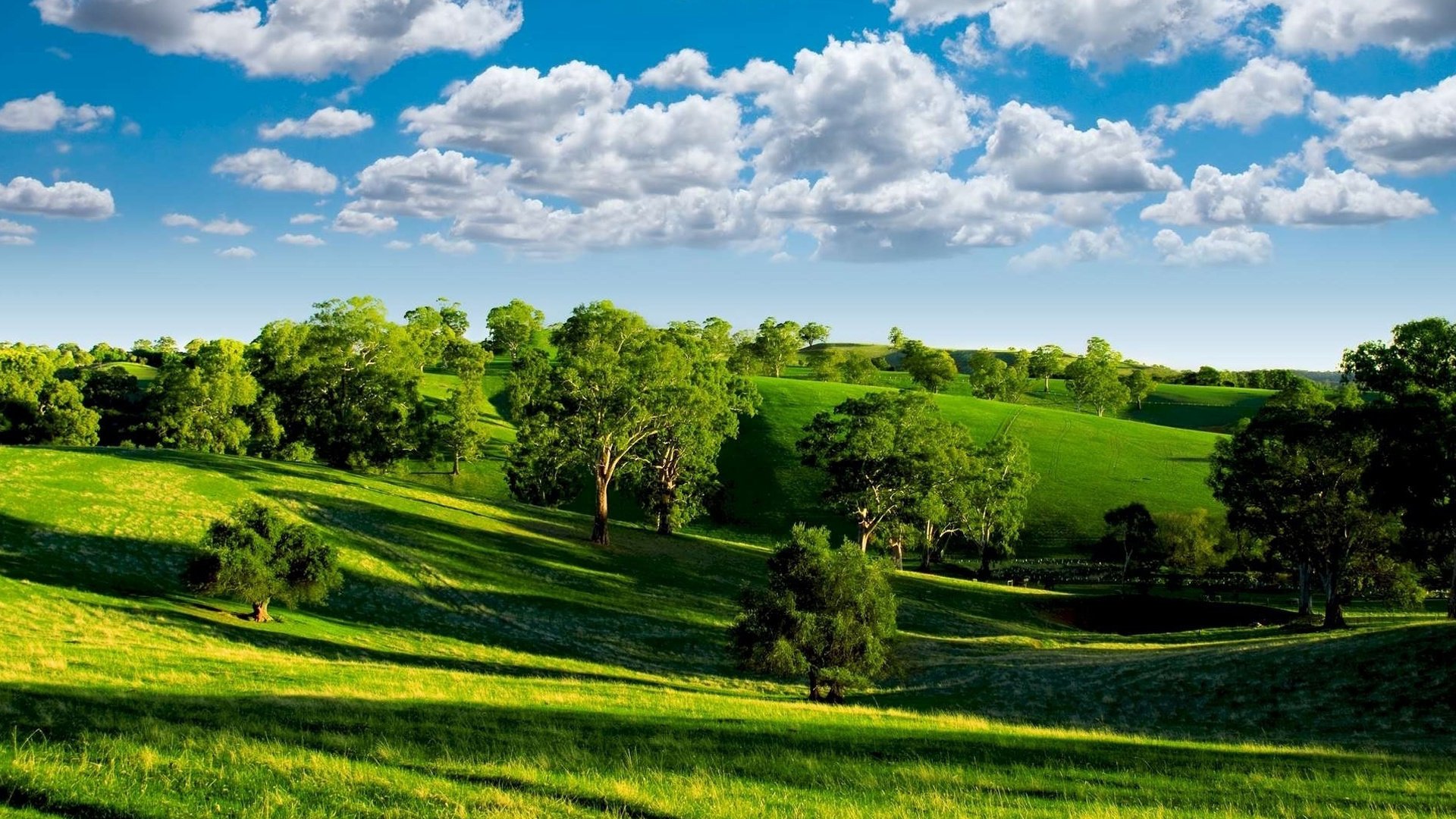 Обои небо, луга, облака, деревья, холмы, зелень, пейзаж, лето, тени, the sky, meadows, clouds, trees, hills, greens, landscape, summer, shadows разрешение 1920x1200 Загрузить