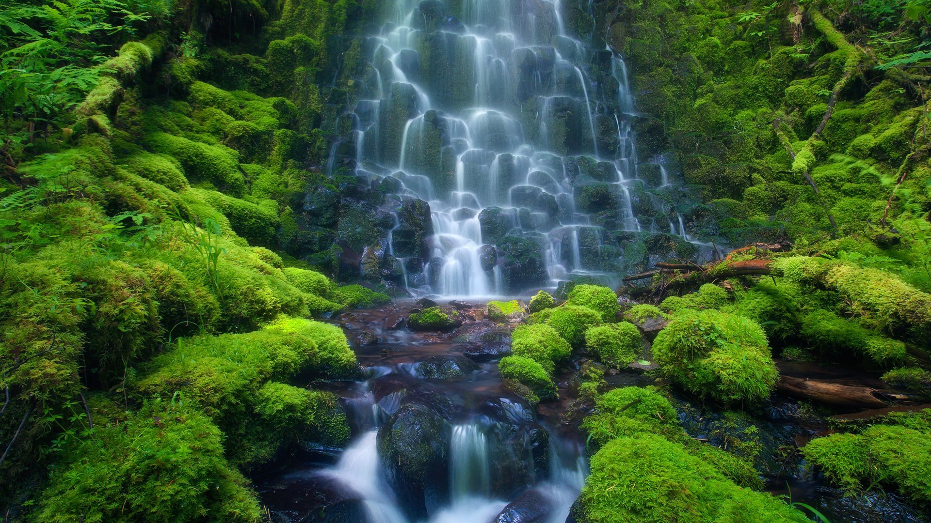 Обои камни, водопад, мох, каскад, stones, waterfall, moss, cascade разрешение 2560x1440 Загрузить