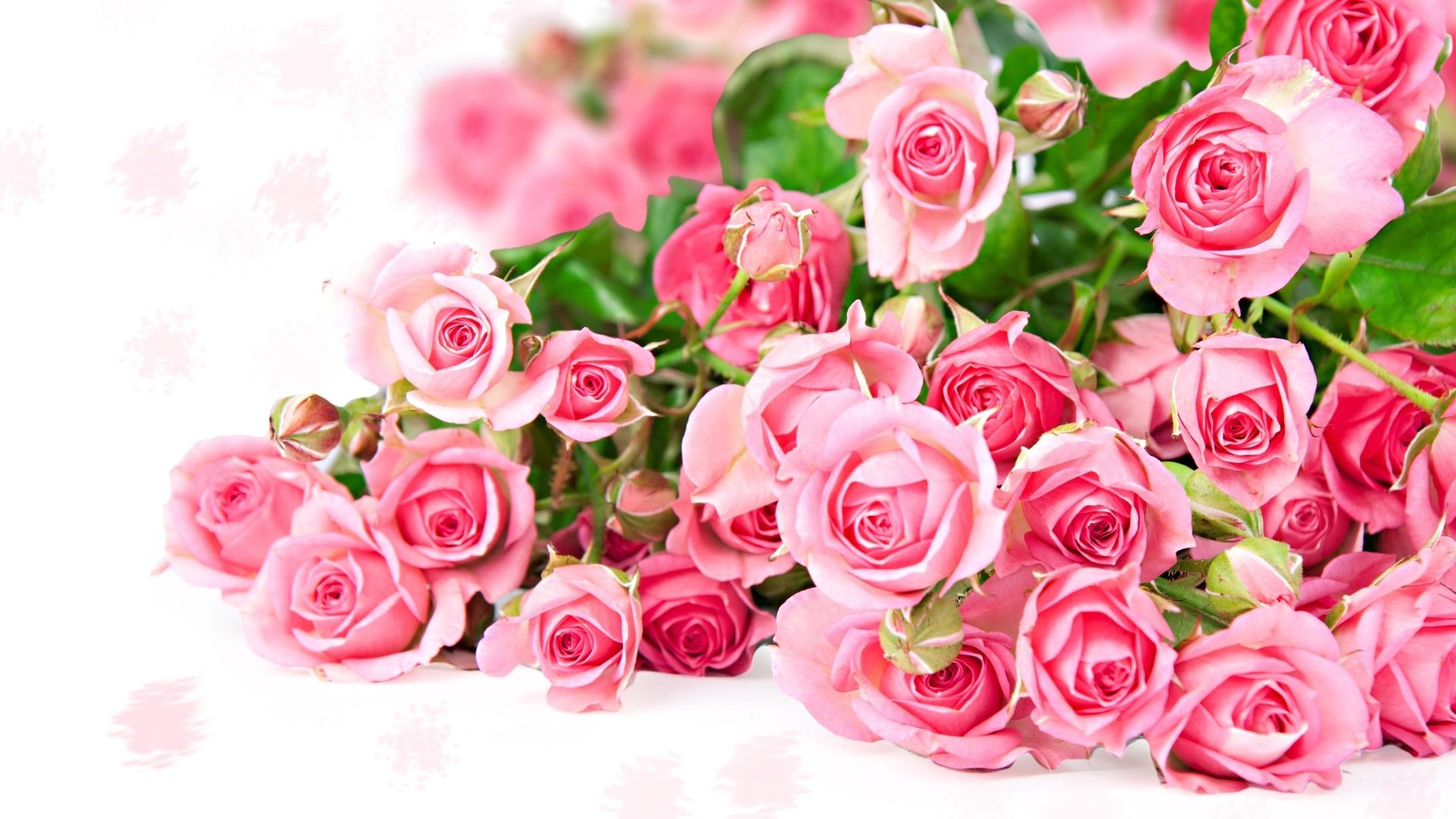 Обои цветы, розы, букет, розовый, бкет роз, flowers, roses, bouquet, pink, bcet roses разрешение 2560x1600 Загрузить