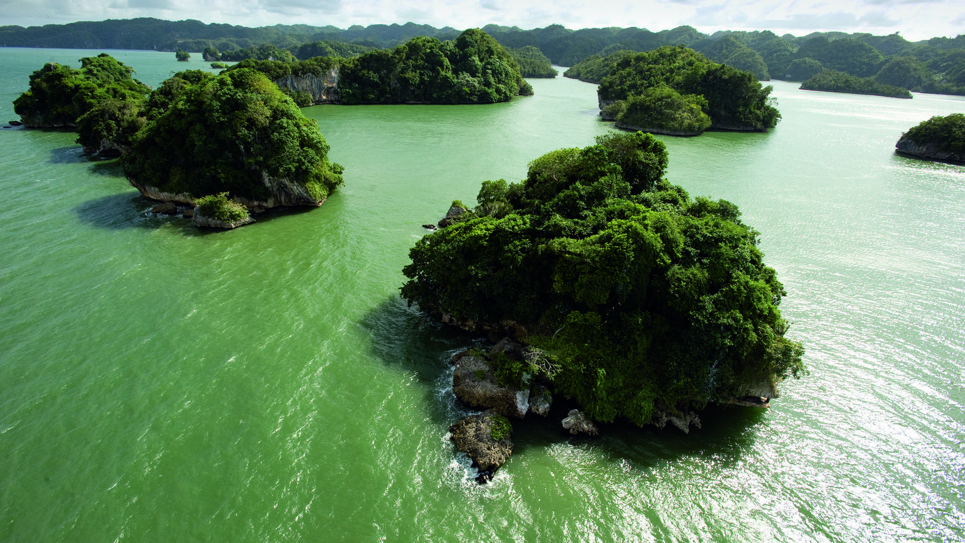 Обои вода, зелень, суша, острова, материк, water, greens, drying, islands, mainland разрешение 2560x1600 Загрузить