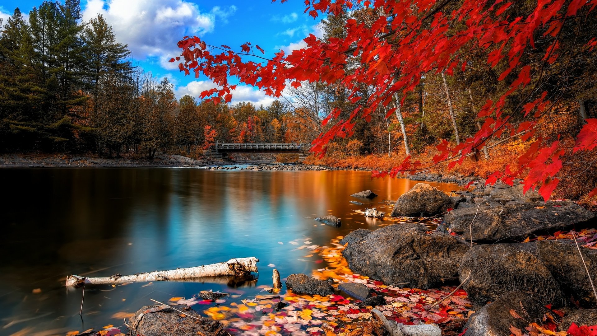 Обои небо, облака, деревья, река, камни, листья, мост, осень, the sky, clouds, trees, river, stones, leaves, bridge, autumn разрешение 2560x1600 Загрузить