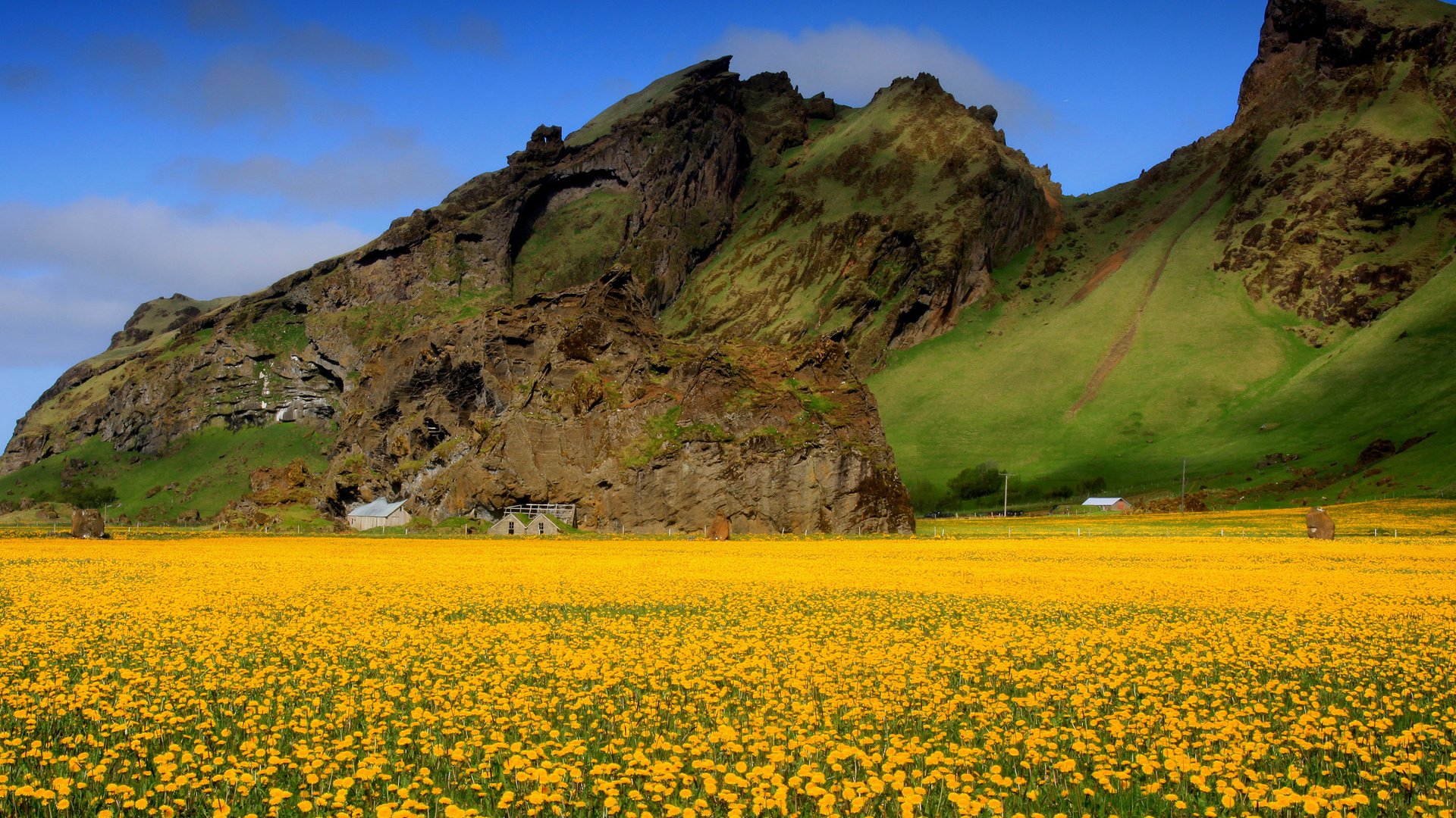 Обои небо, цветы, горы, поле, весна, одуванчики, долина, желтые, the sky, flowers, mountains, field, spring, dandelions, valley, yellow разрешение 2048x1388 Загрузить