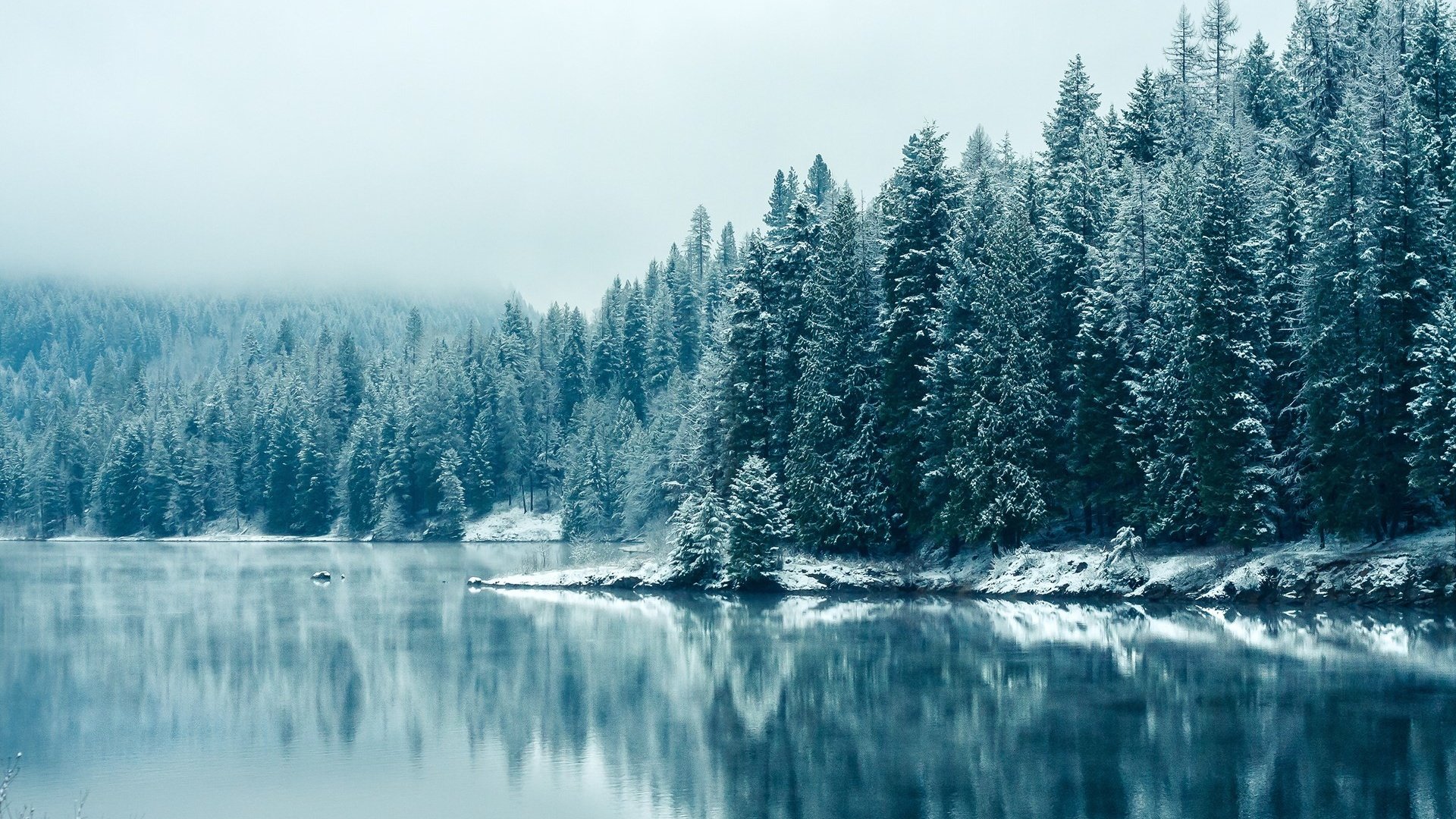 Обои деревья, озеро, снег, лес, зима, отражение, туман, trees, lake, snow, forest, winter, reflection, fog разрешение 1920x1200 Загрузить