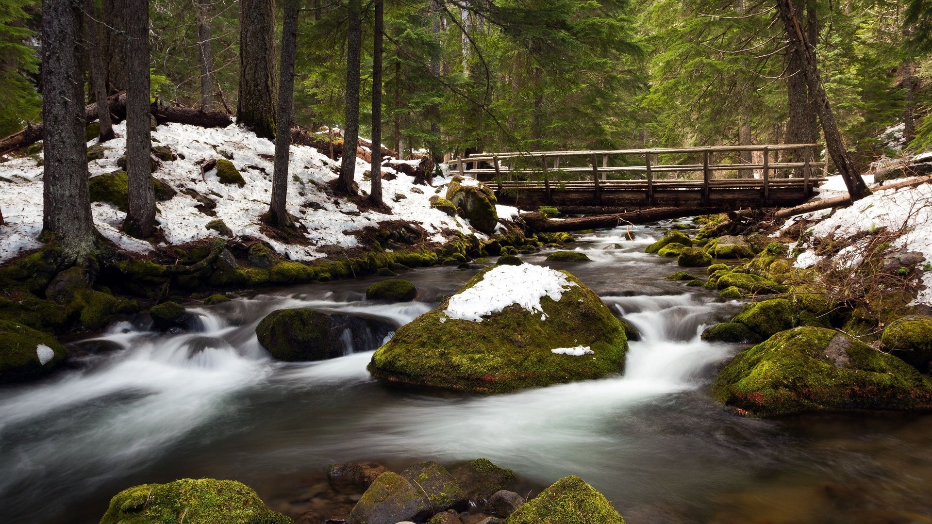 Обои деревья, река, снег, камни, зима, мост, сша, орегон, trees, river, snow, stones, winter, bridge, usa, oregon разрешение 2560x1600 Загрузить