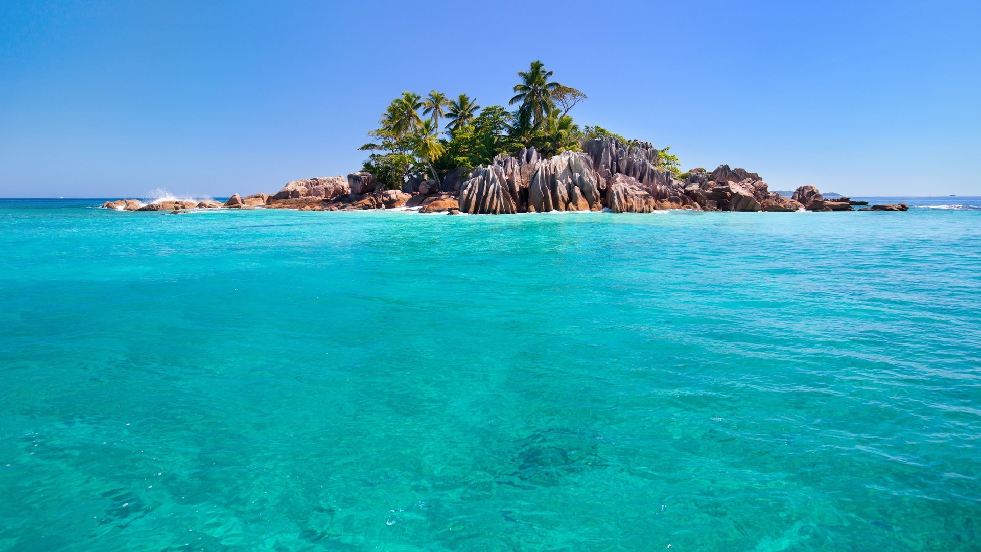 Обои пальмы, остров, тропики, сейшелы, palm trees, island, tropics, seychelles разрешение 2602x1734 Загрузить