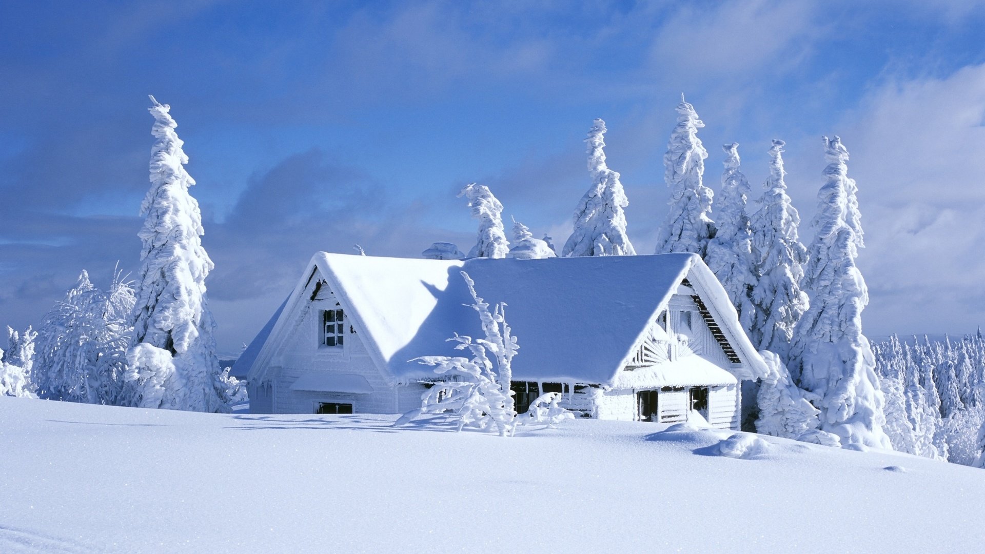 Обои небо, облака, деревья, снег, зима, кусты, домик, ели, the sky, clouds, trees, snow, winter, the bushes, house, ate разрешение 2560x1600 Загрузить